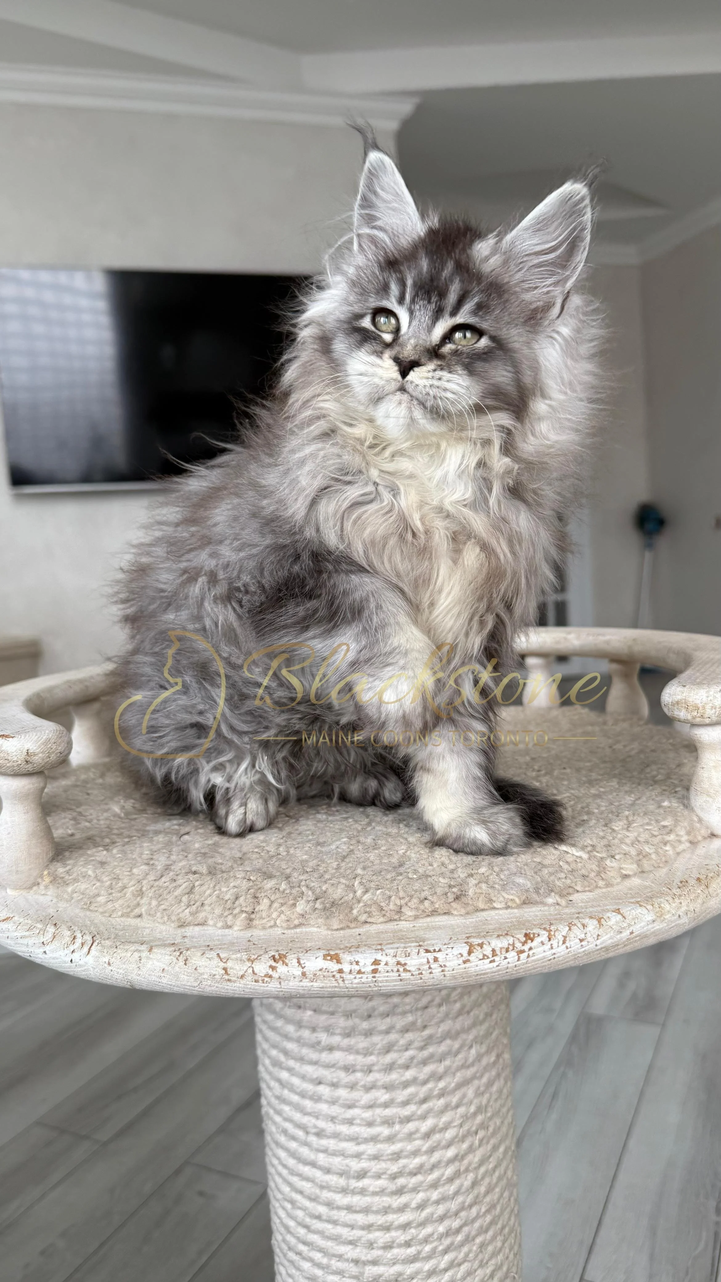 eZy Watermark_14-01-2026_07-45-09-3670PM.JPG