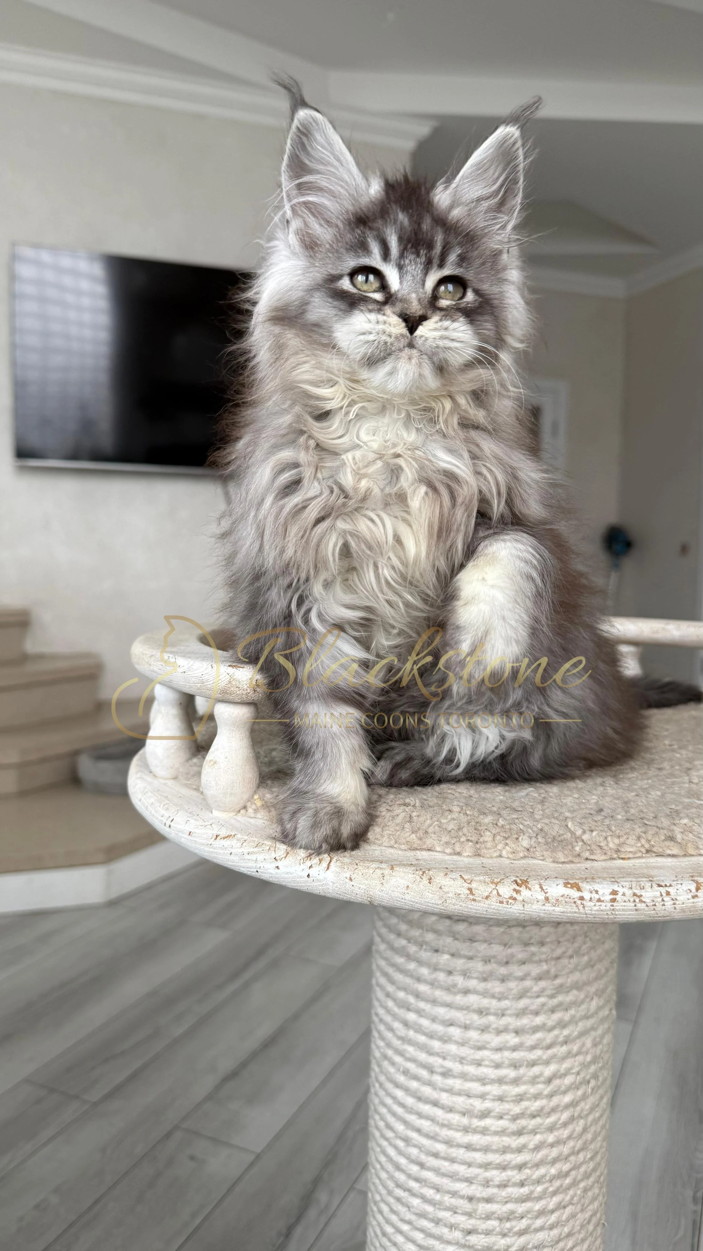 eZy Watermark_14-01-2026_07-45-09-5180PM.JPG