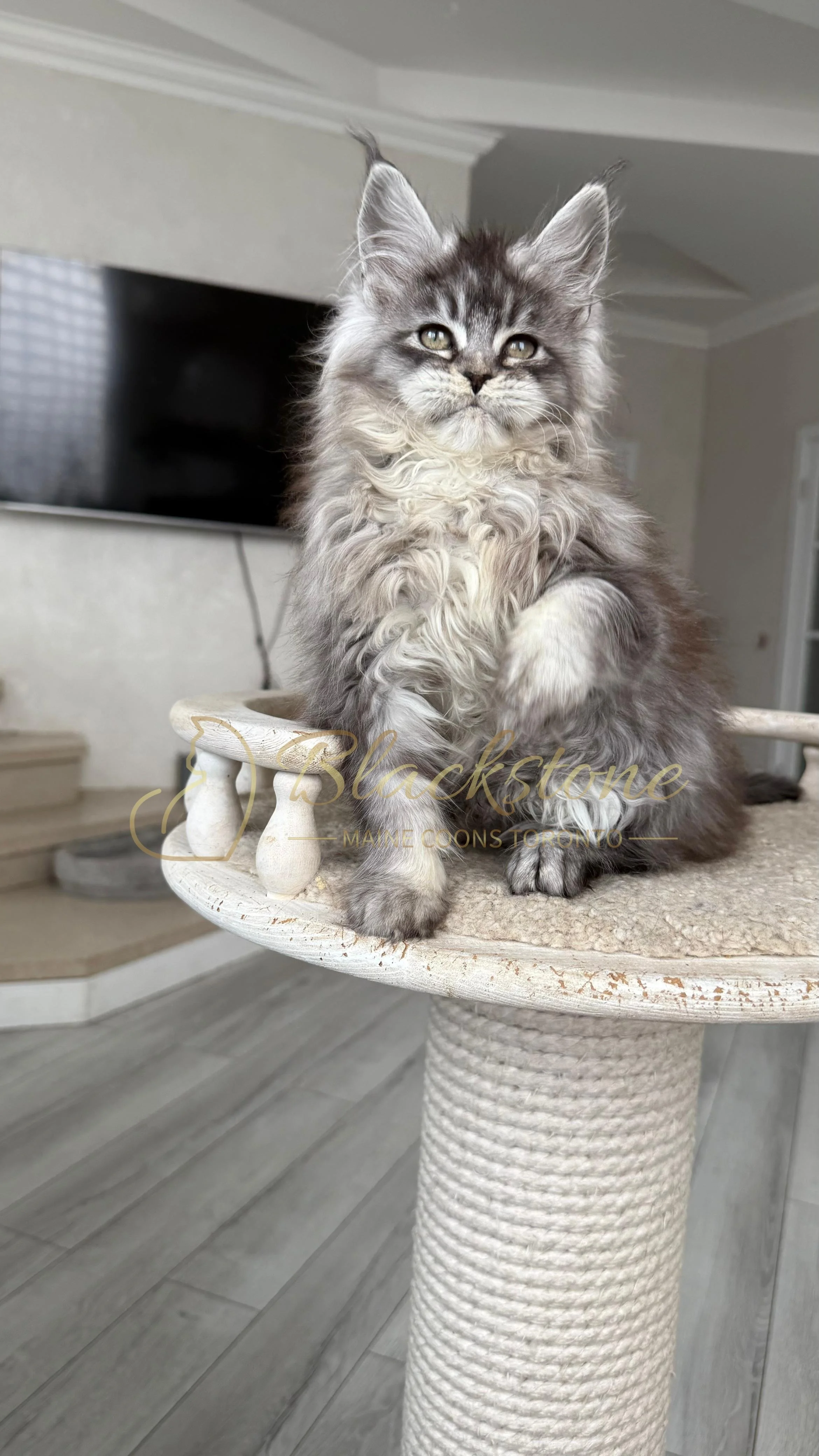 eZy Watermark_14-01-2026_07-45-09-8010PM.JPG