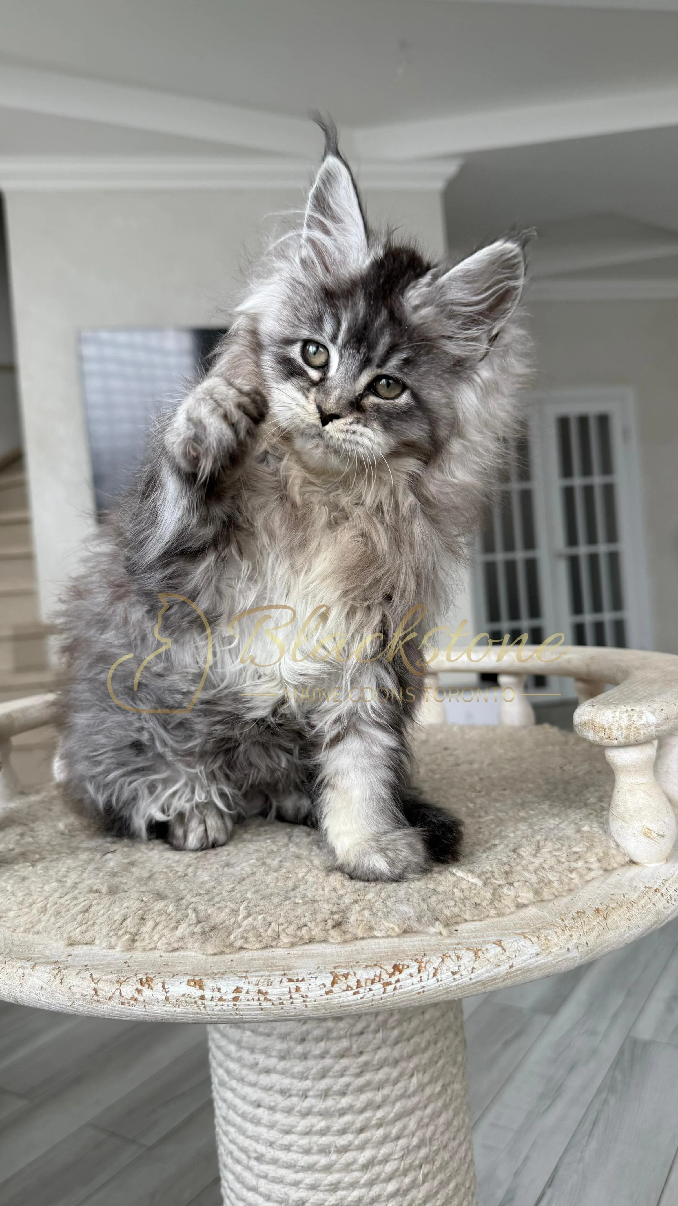 eZy Watermark_14-01-2026_07-45-09-9490PM.JPG