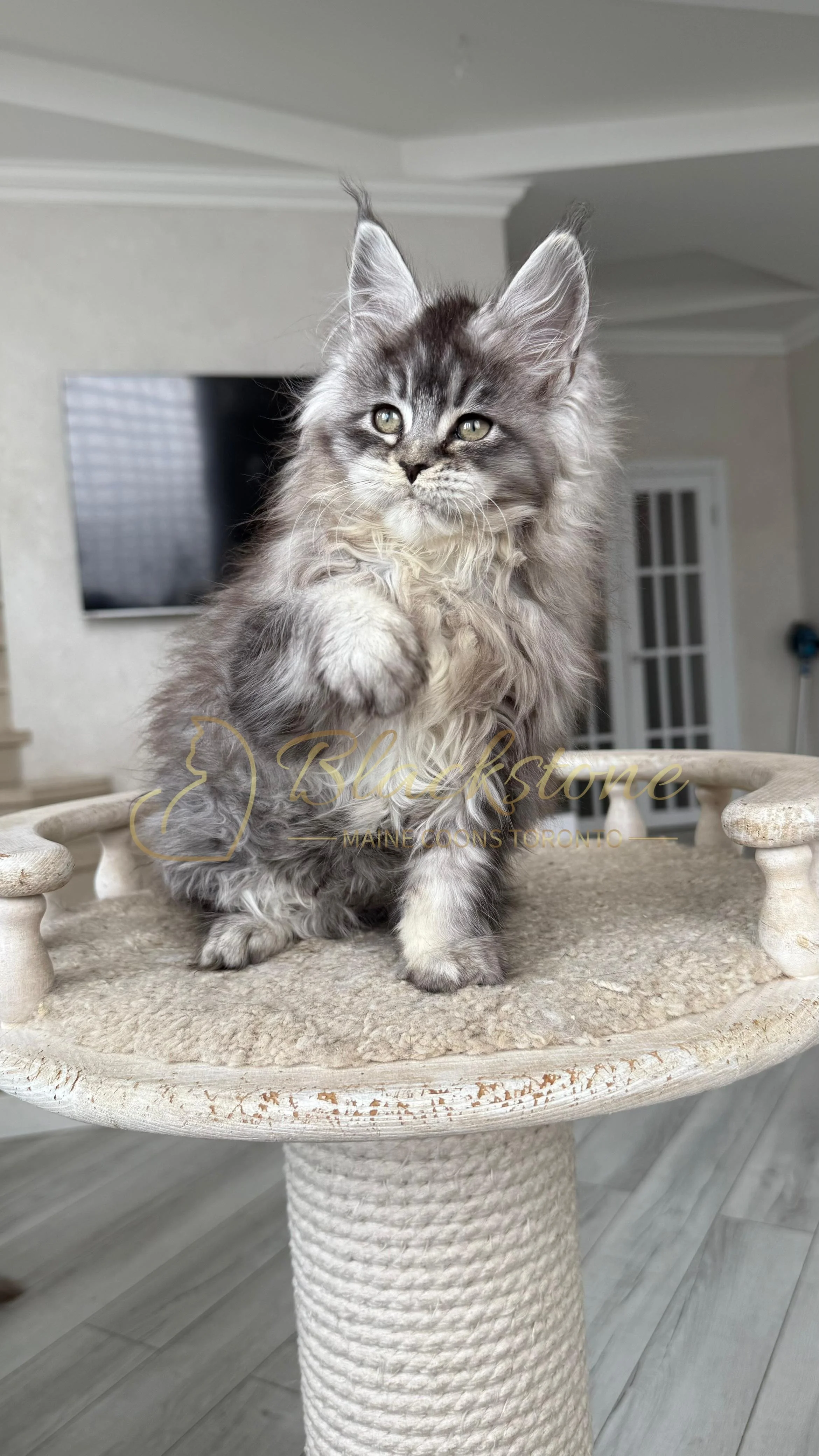 eZy Watermark_14-01-2026_07-45-10-2430PM.JPG