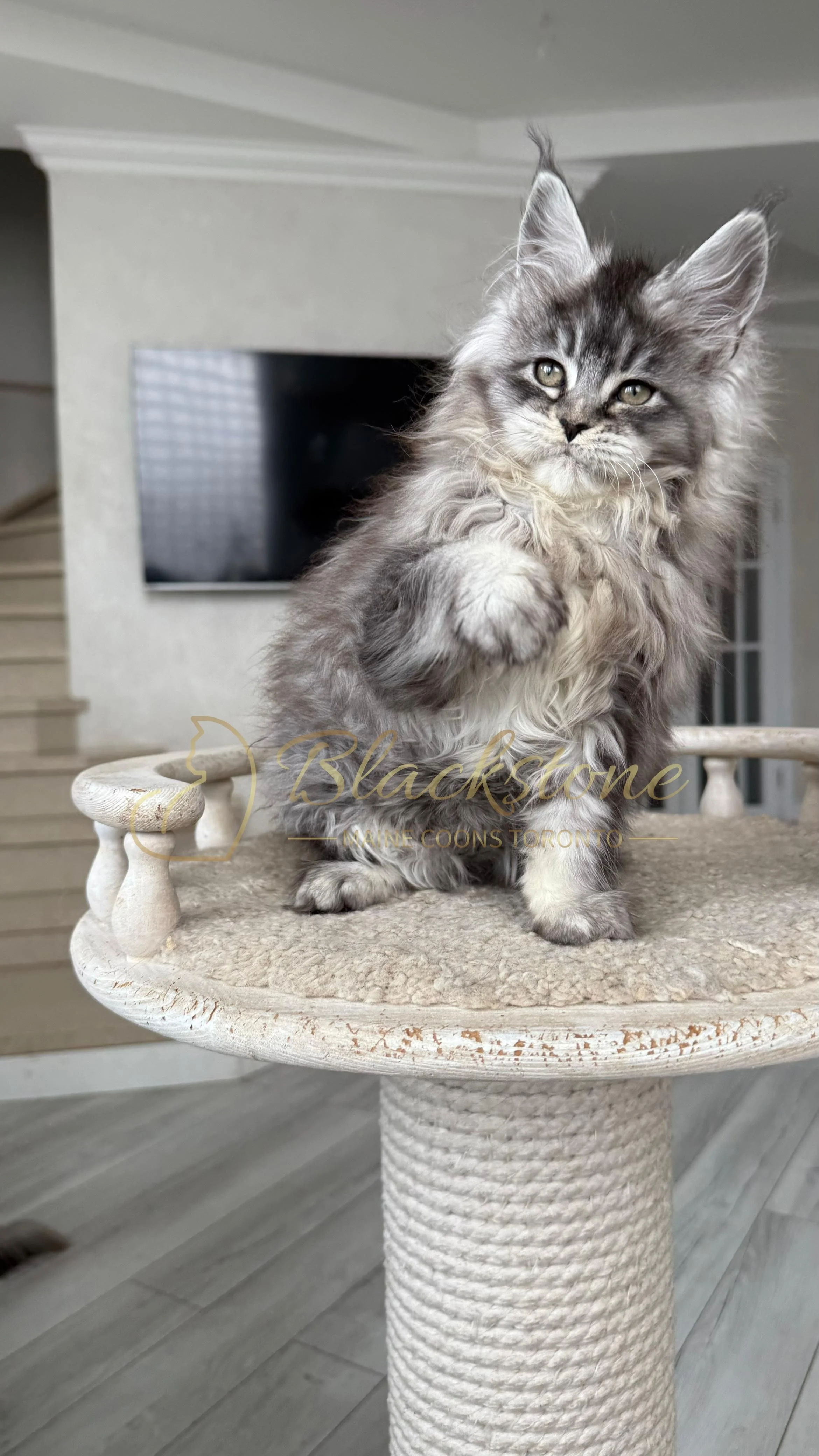 eZy Watermark_14-01-2026_07-45-10-3870PM.JPG