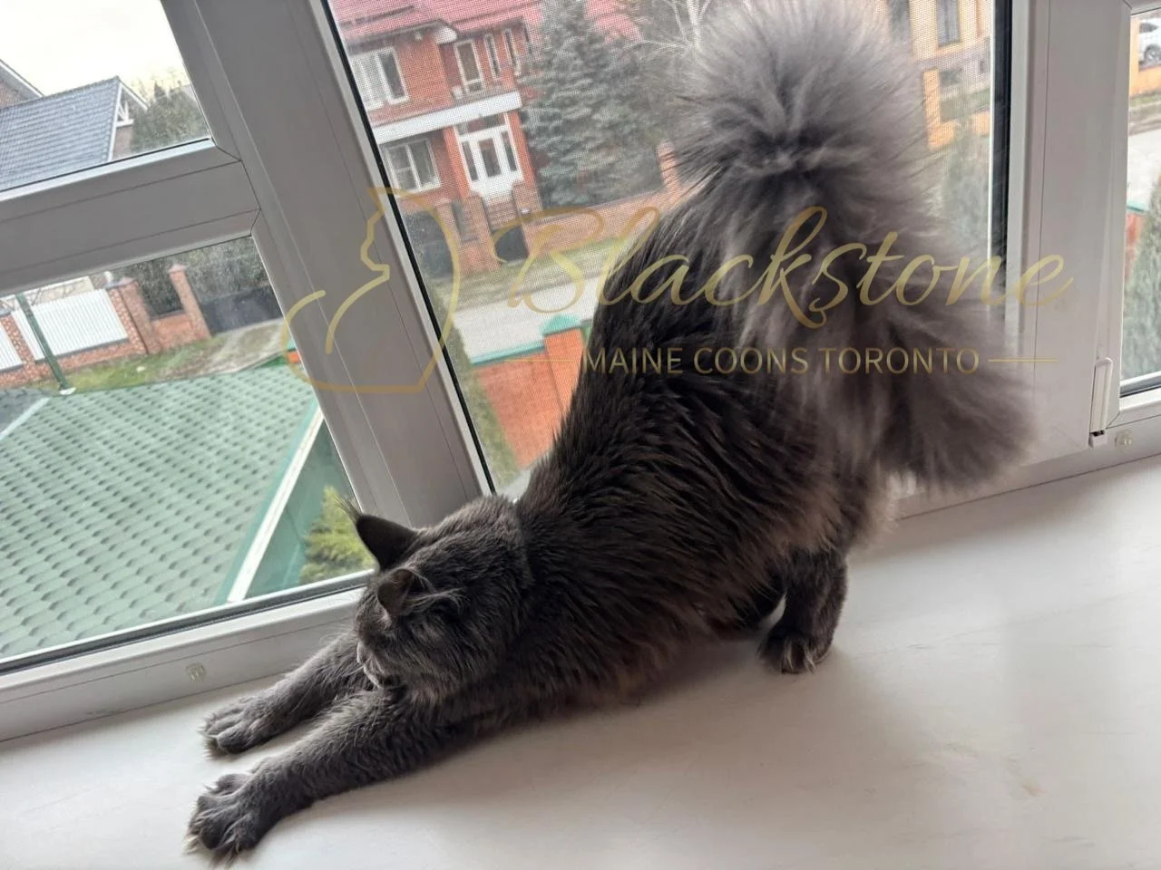 eZy Watermark_14-01-2026_07-45-11-2260PM.JPG