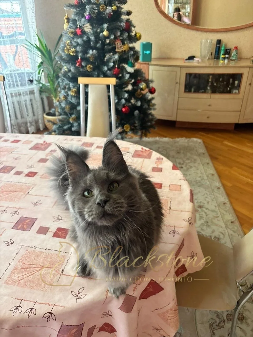 eZy Watermark_14-01-2026_07-45-11-5370PM.JPG