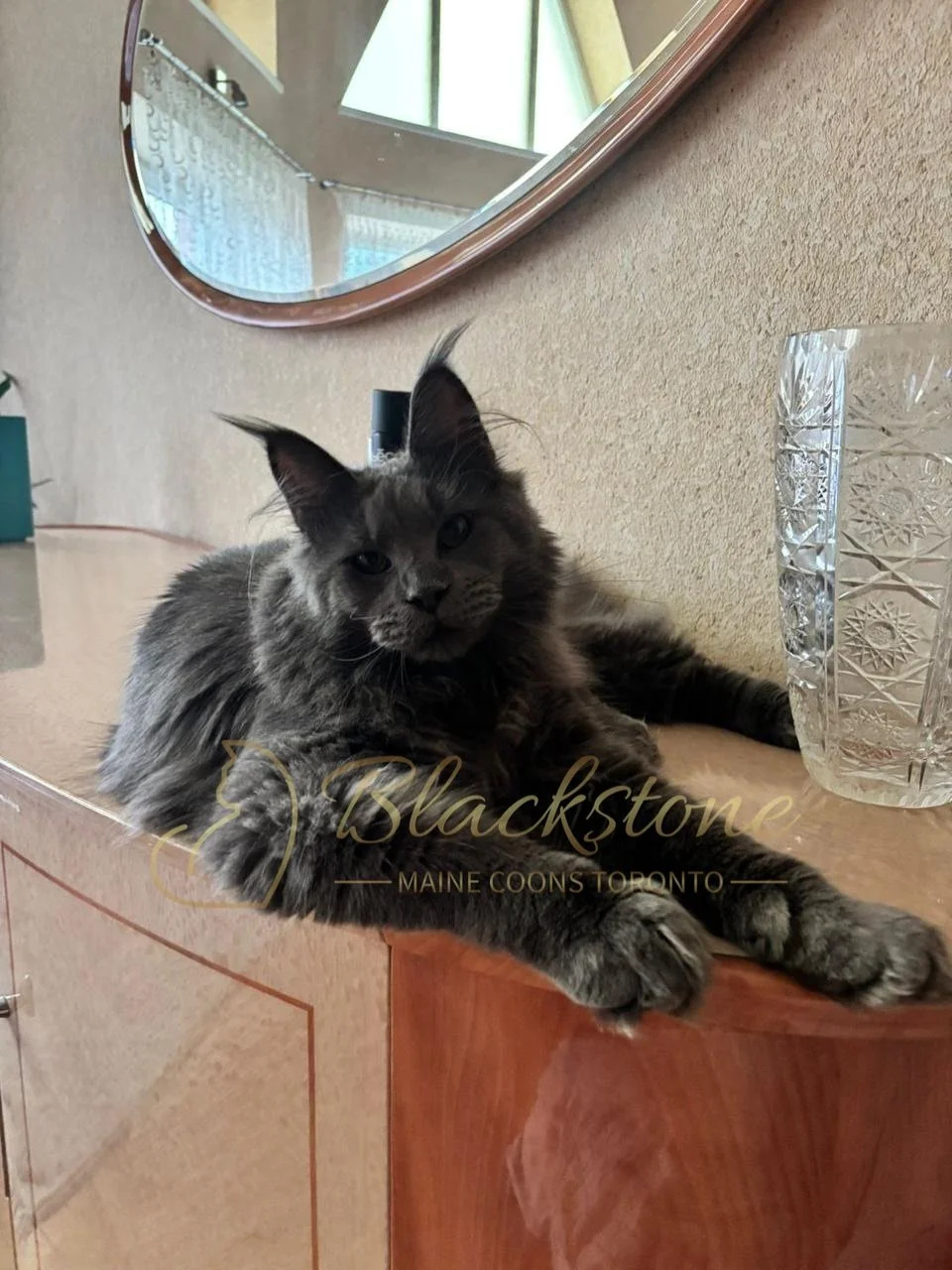 eZy Watermark_14-01-2026_07-45-11-7720PM.JPG