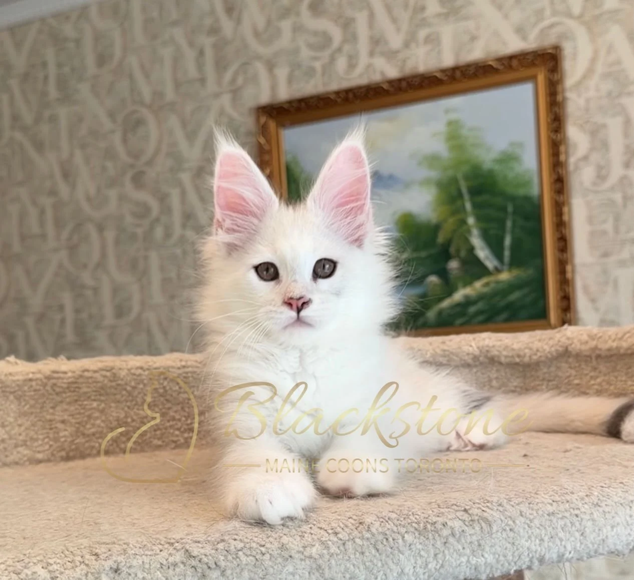 eZy Watermark_15-01-2026_01-20-12-2820PM.JPG