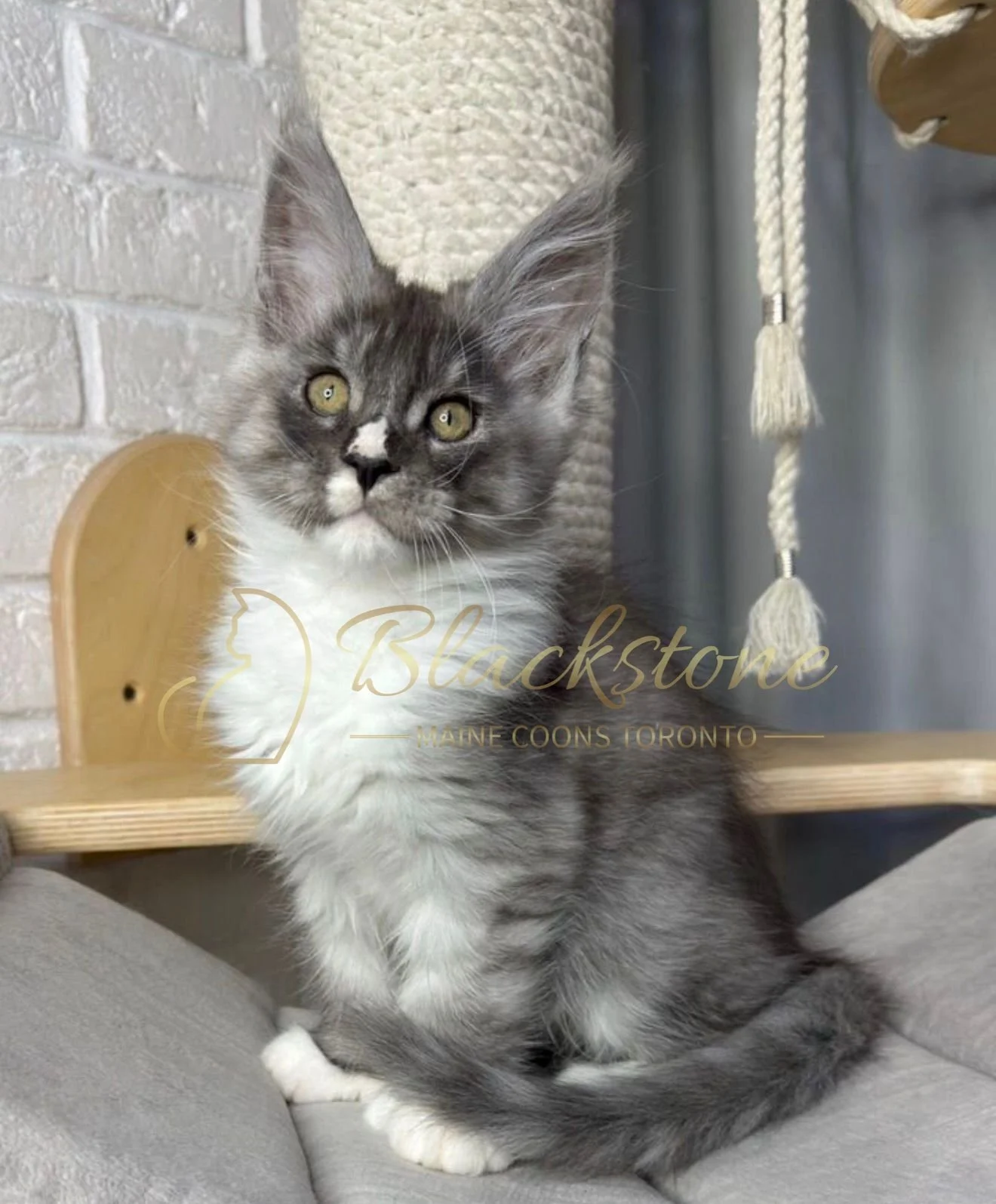 eZy Watermark_15-01-2026_04-42-40-8320PM.JPG