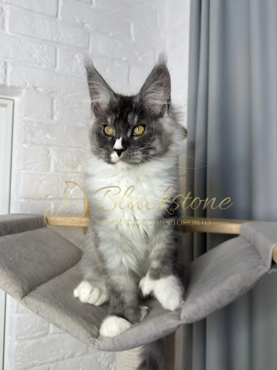 eZy Watermark_08-02-2026_11-10-45-9240AM.JPG