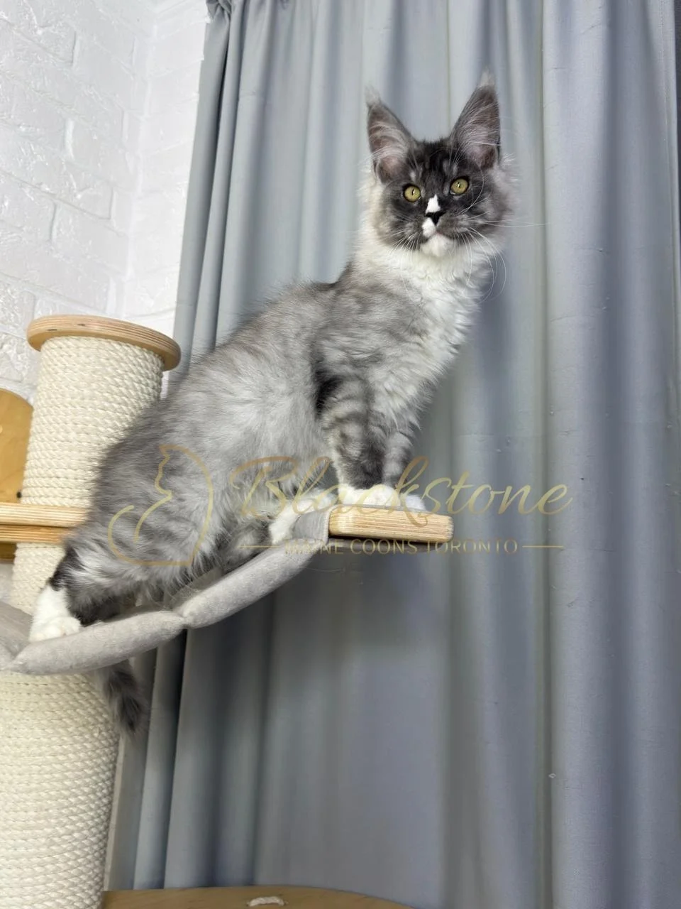 eZy Watermark_08-02-2026_11-10-45-6700AM.JPG