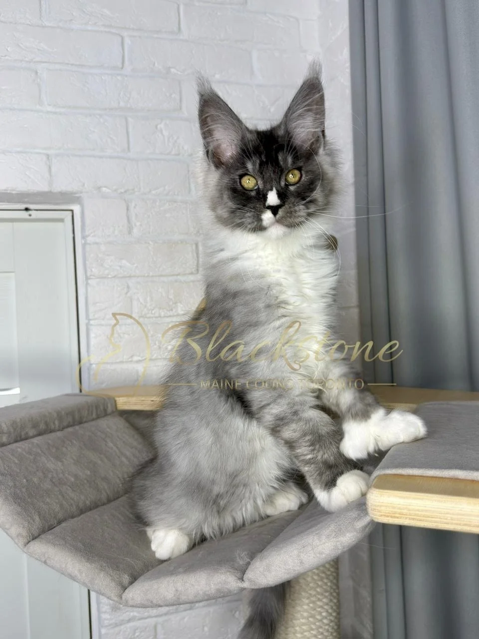 eZy Watermark_08-02-2026_11-10-46-0740AM.jpg