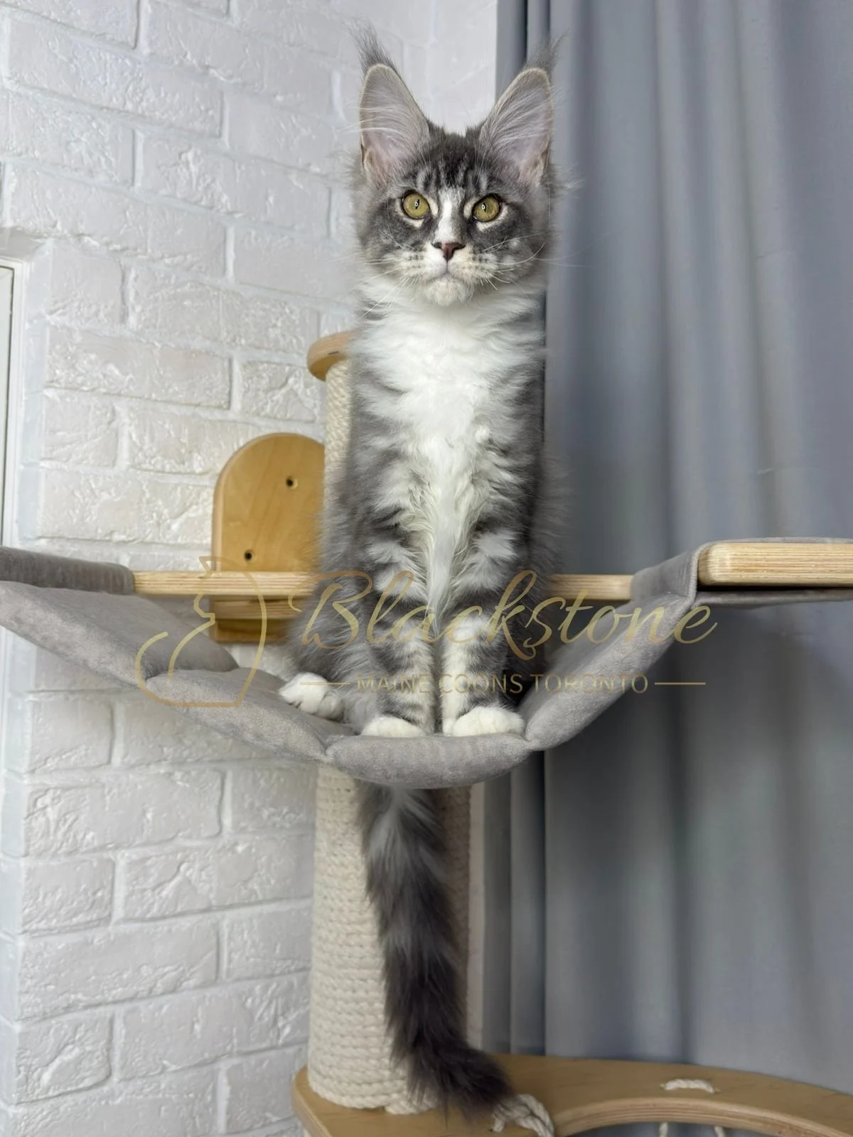 eZy Watermark_08-02-2026_11-10-46-5150AM.JPG