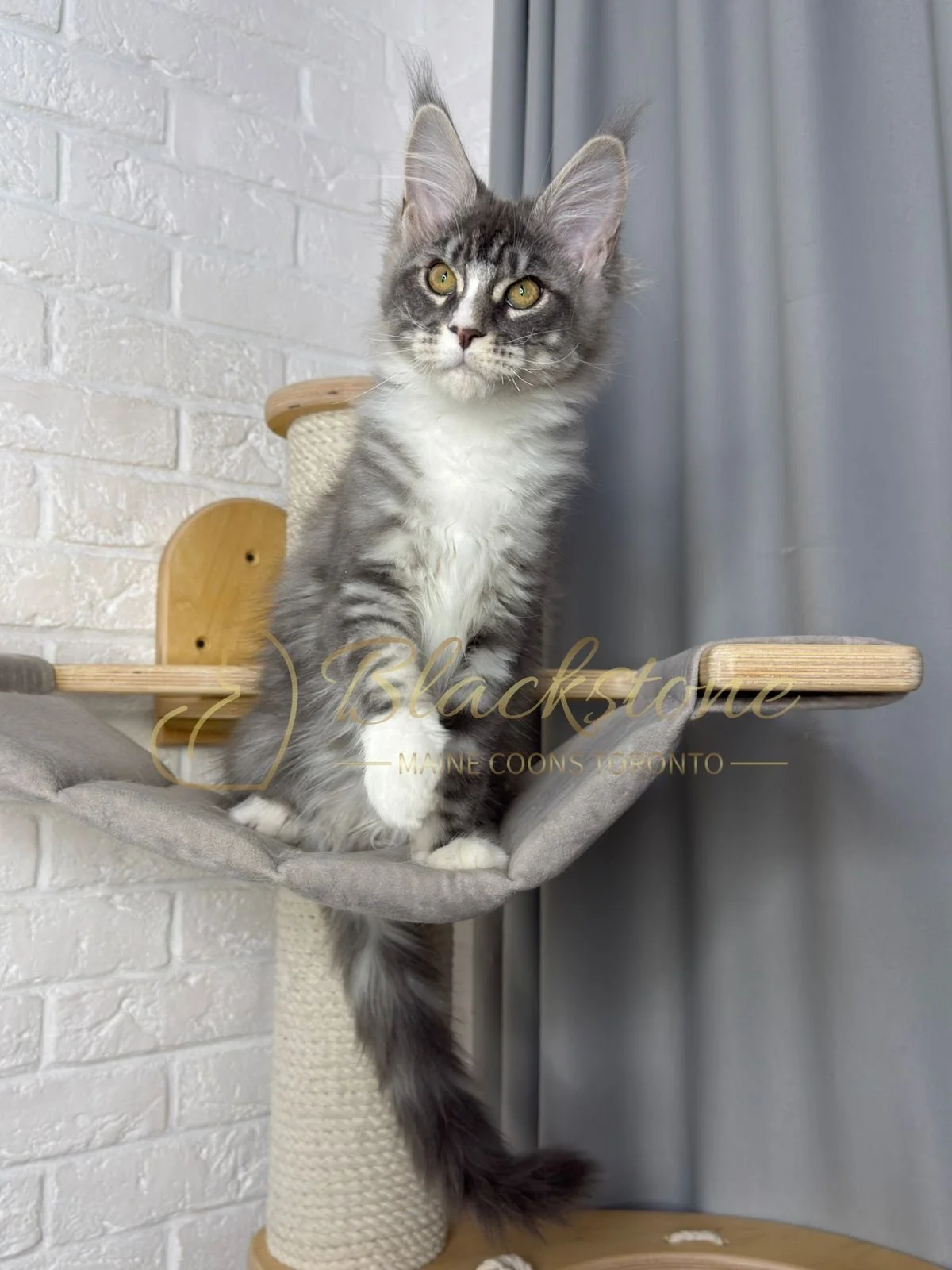 eZy Watermark_08-02-2026_11-10-46-6840AM.JPG