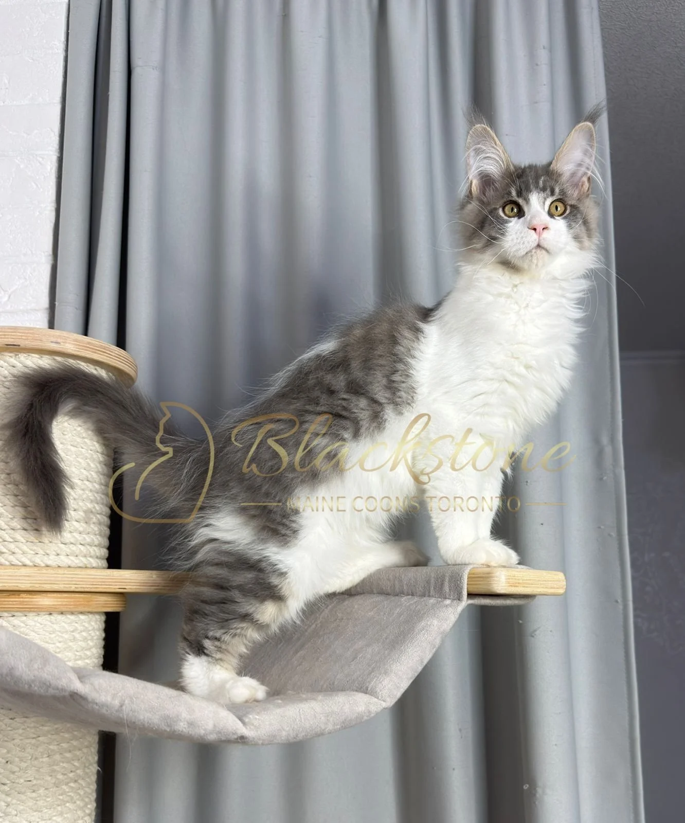 eZy Watermark_08-02-2026_11-10-46-3430AM.JPG