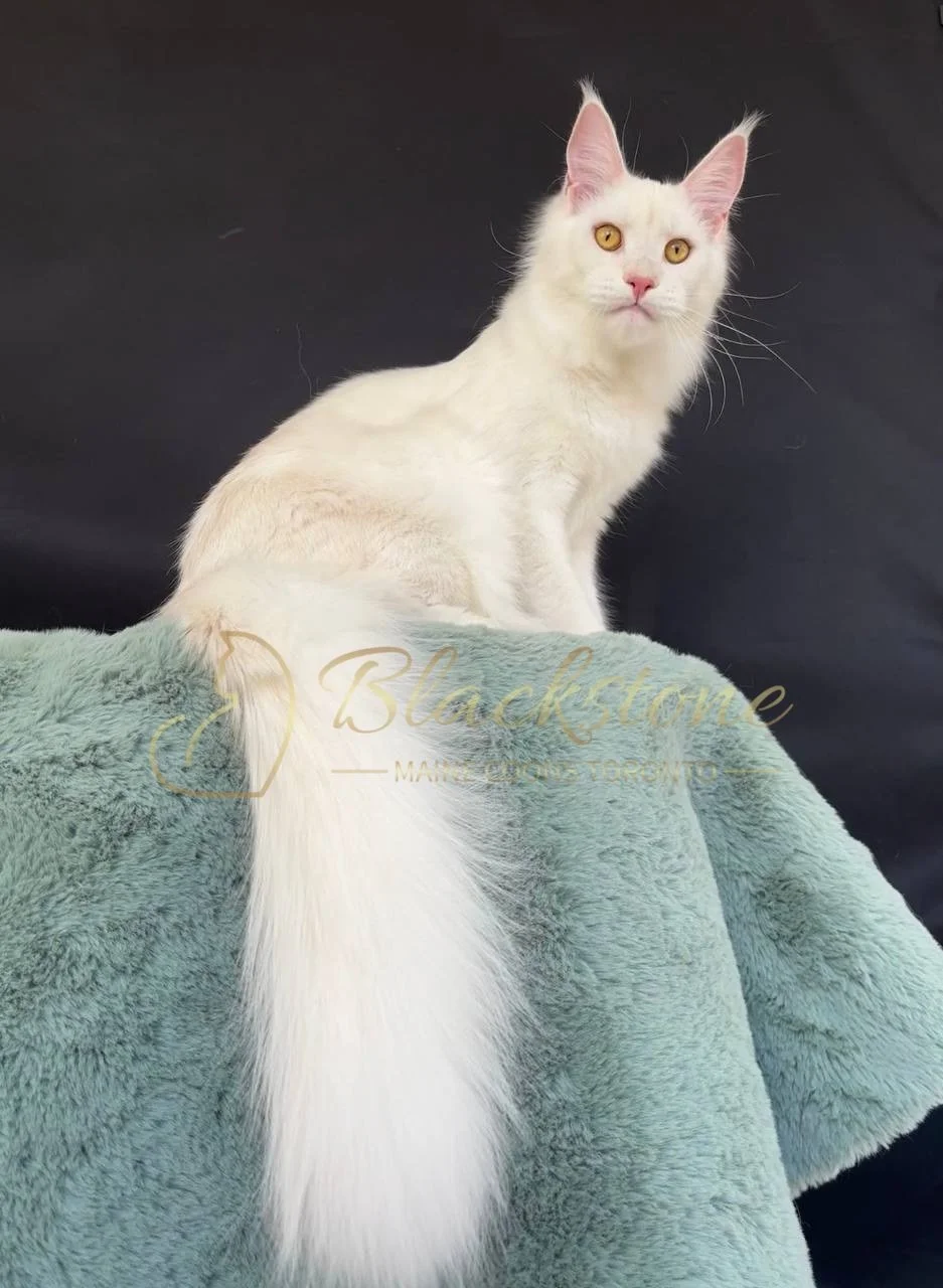 eZy Watermark_27-03-2026_12-22-29-9700PM.JPG