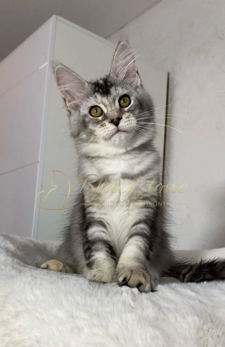 eZy Watermark_29-03-2026_07-57-42-6720PM.JPG