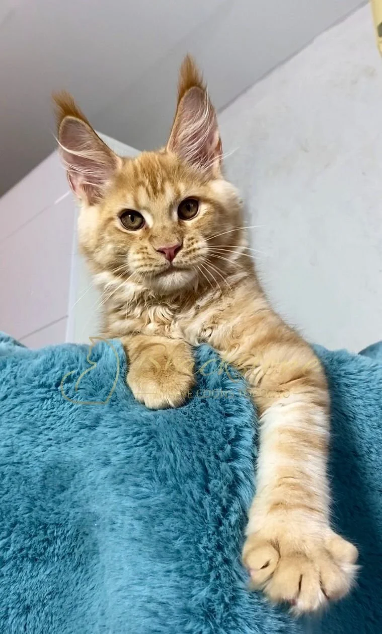 eZy Watermark_29-03-2026_08-44-56-8320PM.JPG