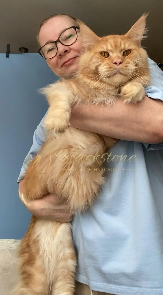 eZy Watermark_24-03-2026_01-26-21-7380PM.JPG