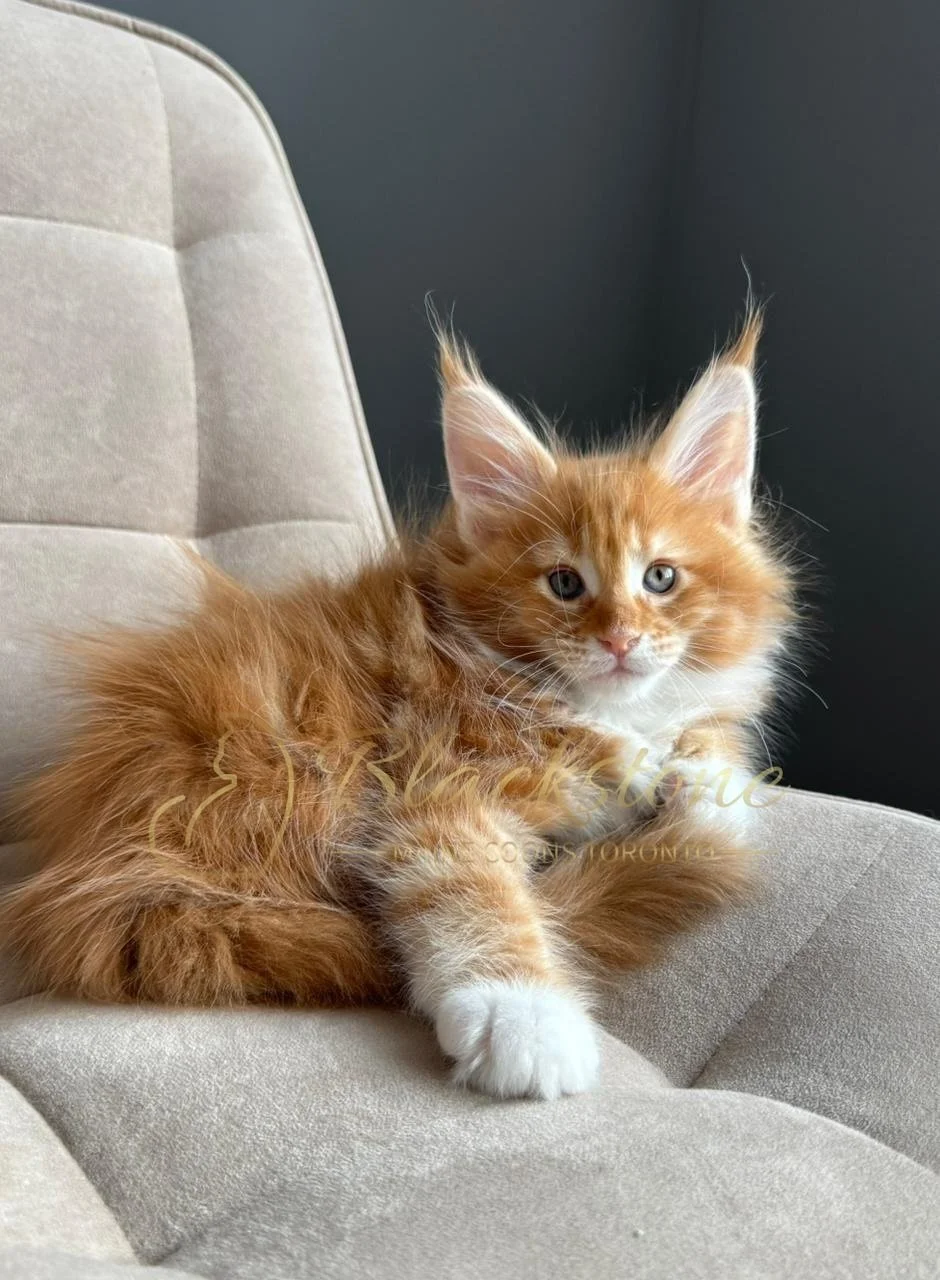 eZy Watermark_04-04-2026_08-47-16-2260PM.JPG