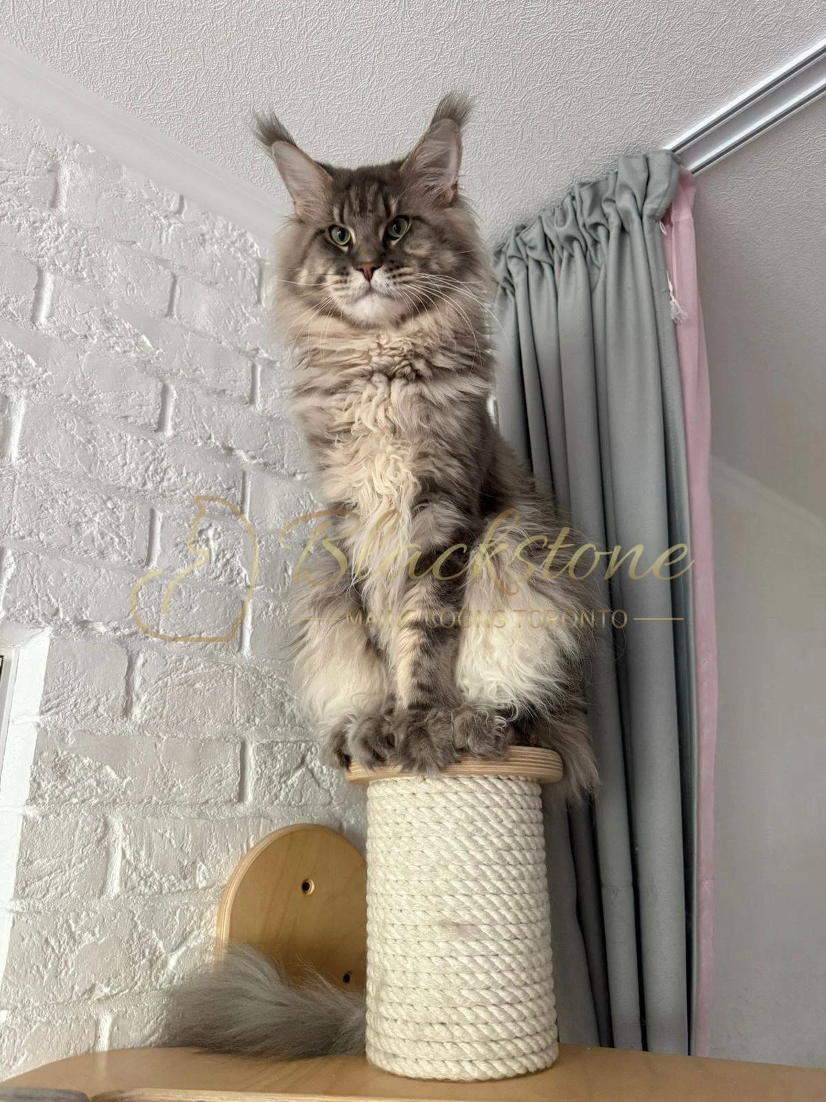 eZy Watermark_19-03-2026_04-33-55-7620PM.JPG