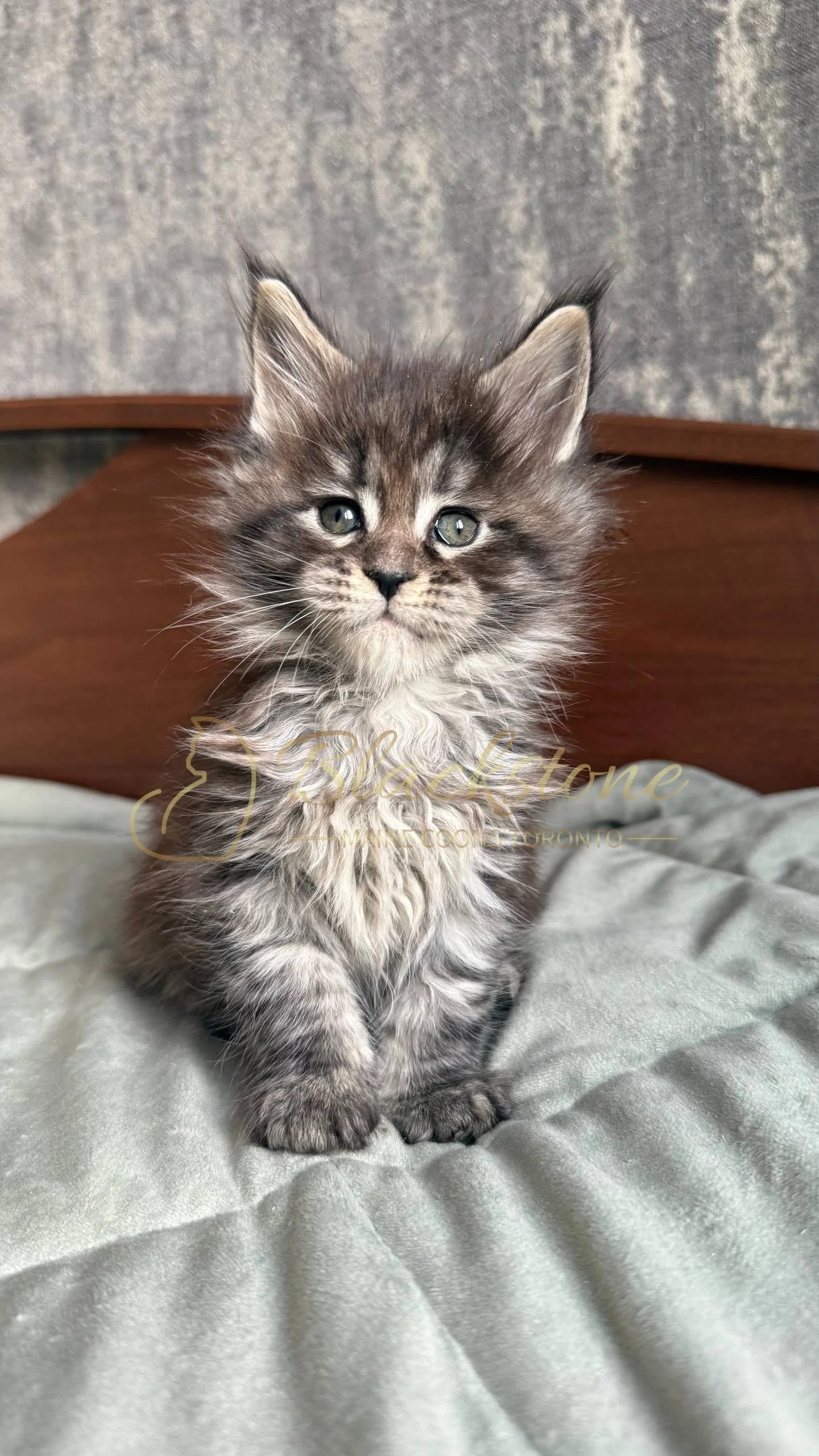 eZy Watermark_05-04-2026_02-07-12-7160PM.JPG