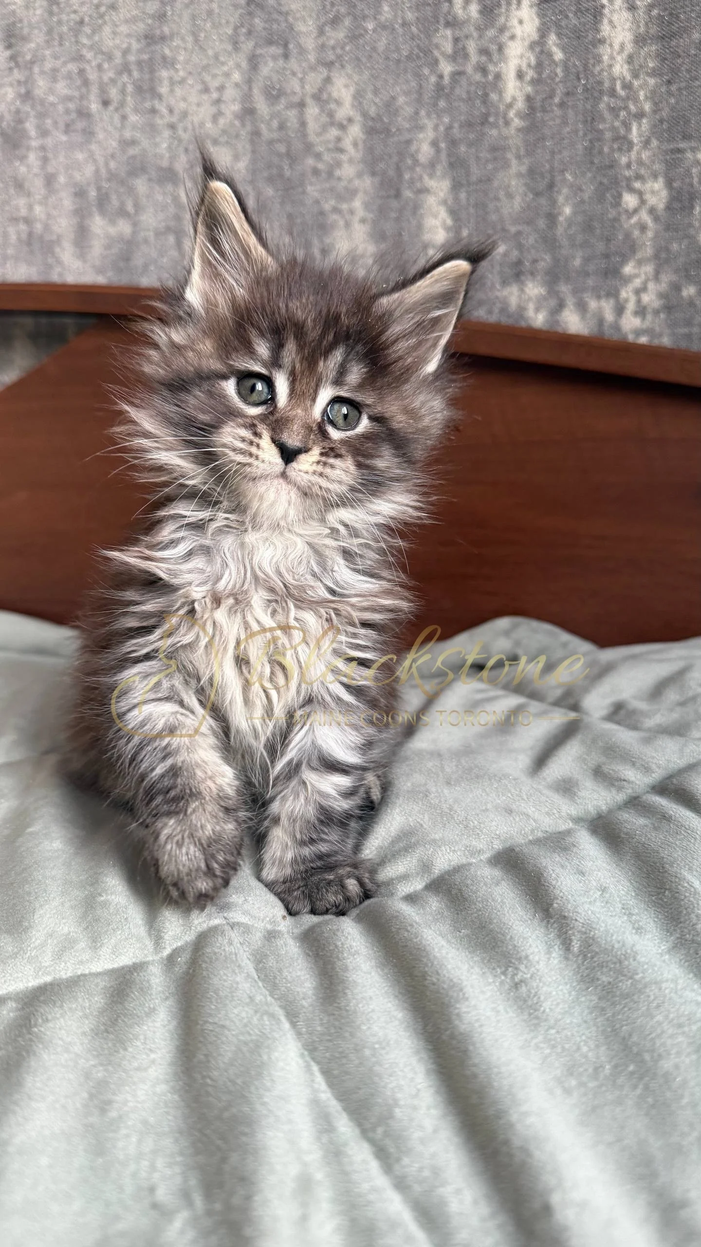 eZy Watermark_05-04-2026_02-07-12-5990PM.JPG