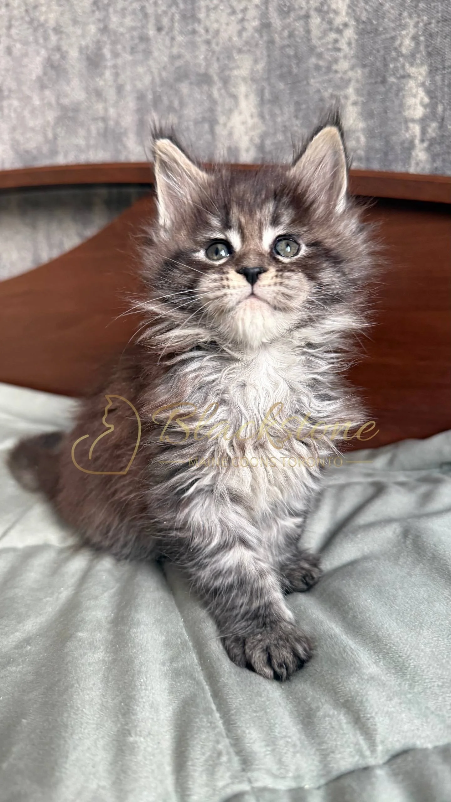 eZy Watermark_05-04-2026_02-07-12-8060PM.JPG