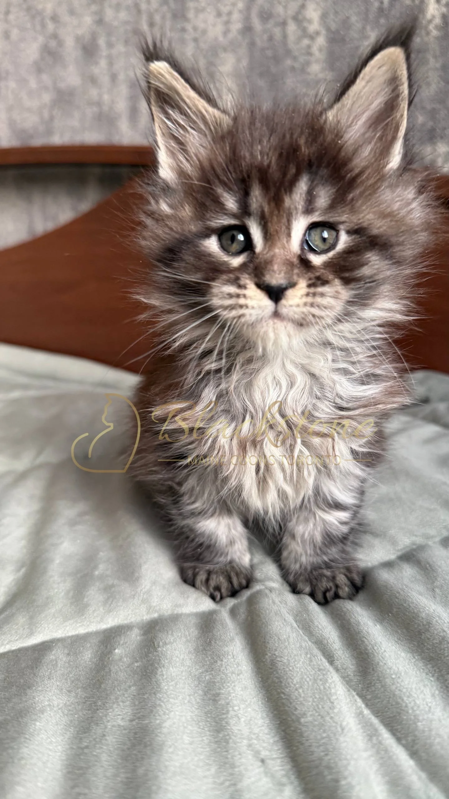 eZy Watermark_05-04-2026_02-07-12-8920PM.JPG