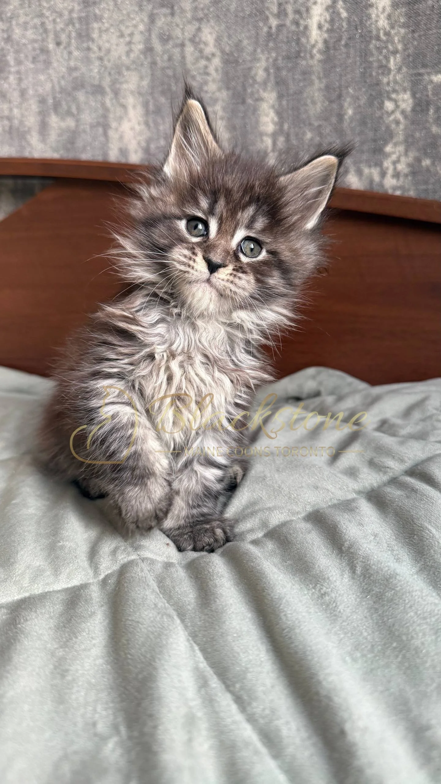 eZy Watermark_05-04-2026_02-07-12-9750PM.JPG