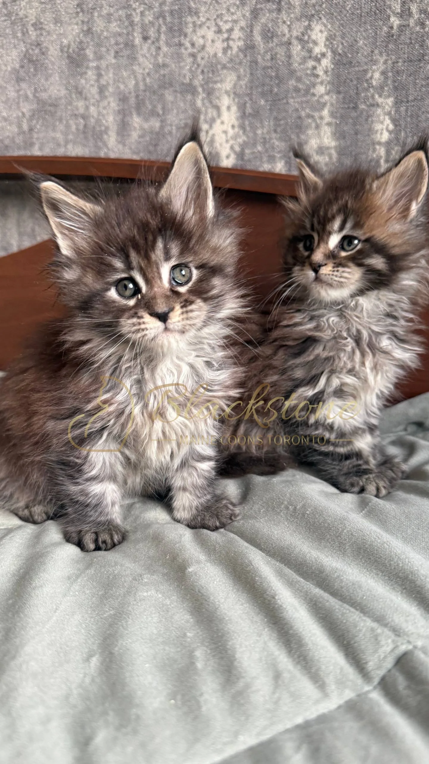 eZy Watermark_05-04-2026_02-07-13-0660PM.JPG