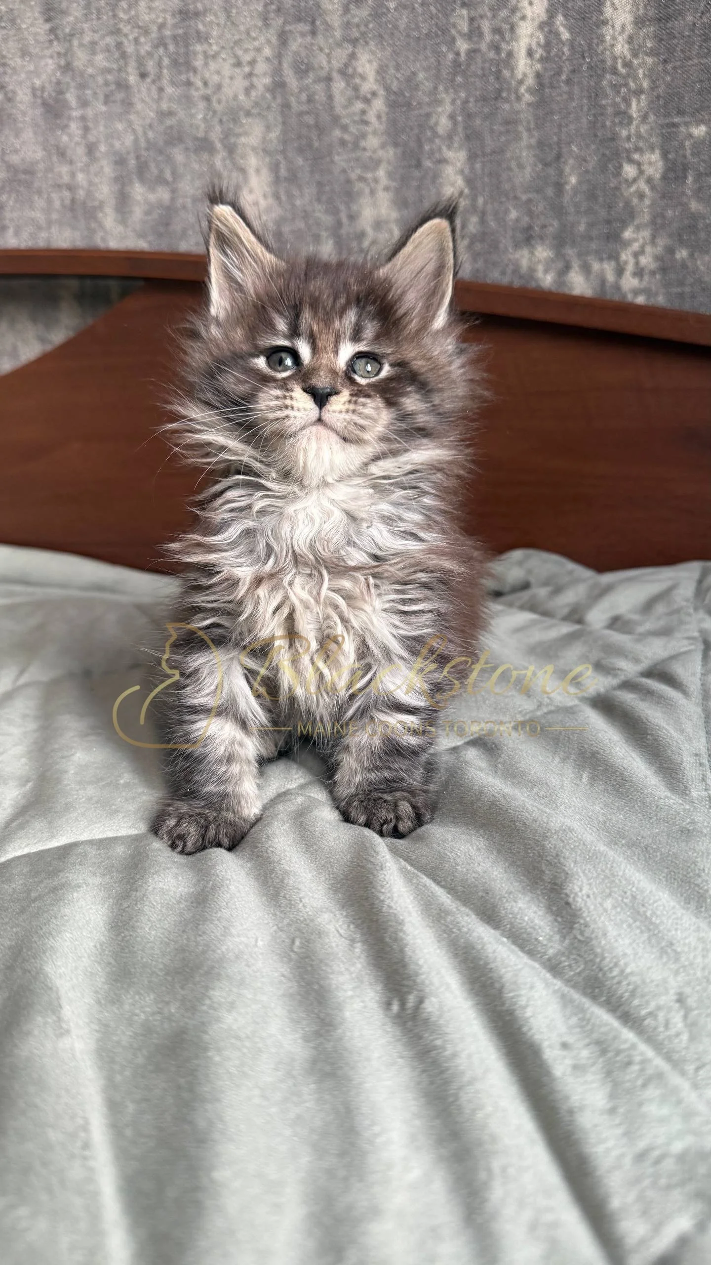 eZy Watermark_05-04-2026_02-07-13-2460PM.JPG