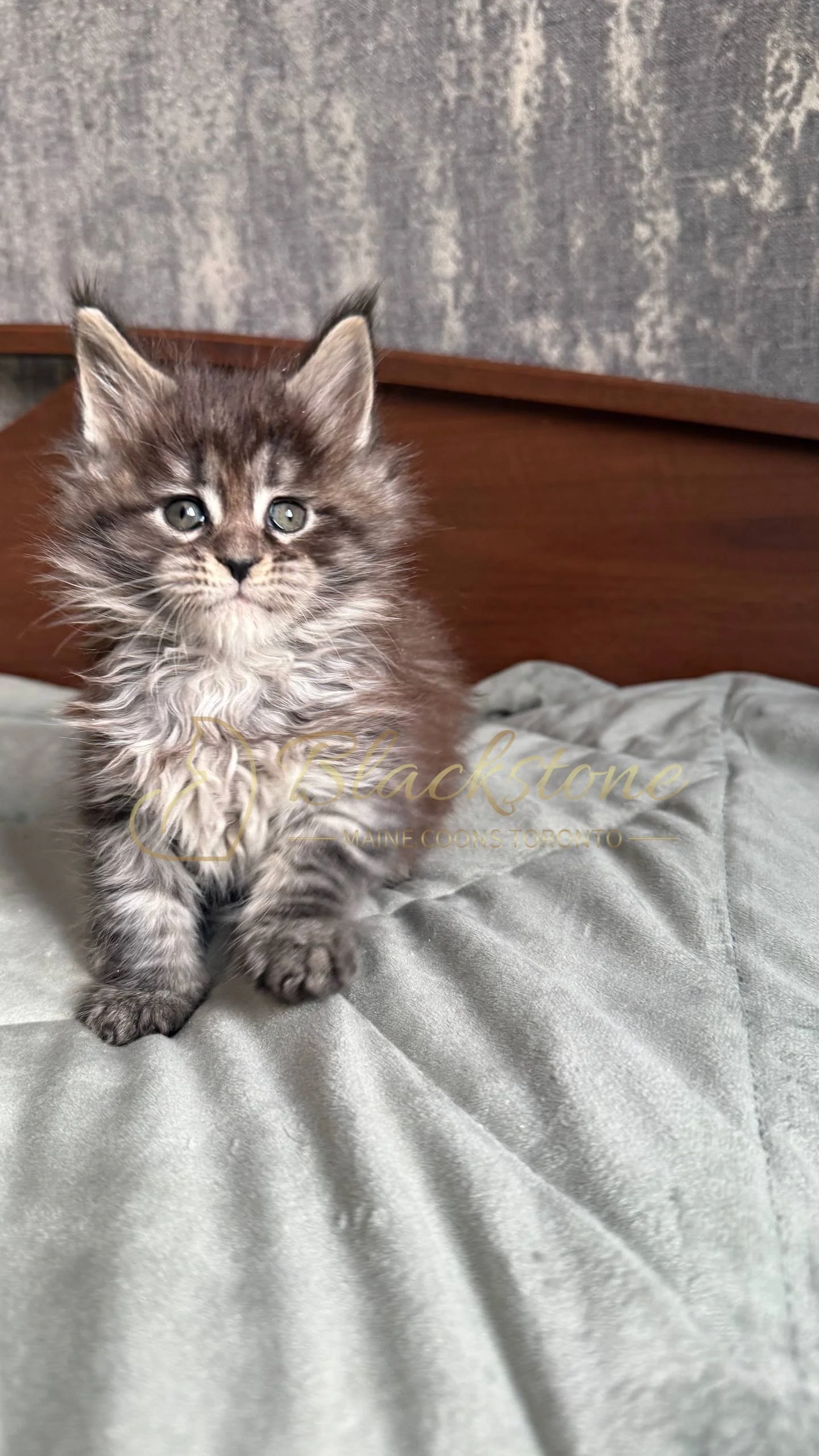 eZy Watermark_05-04-2026_02-07-13-3330PM.JPG