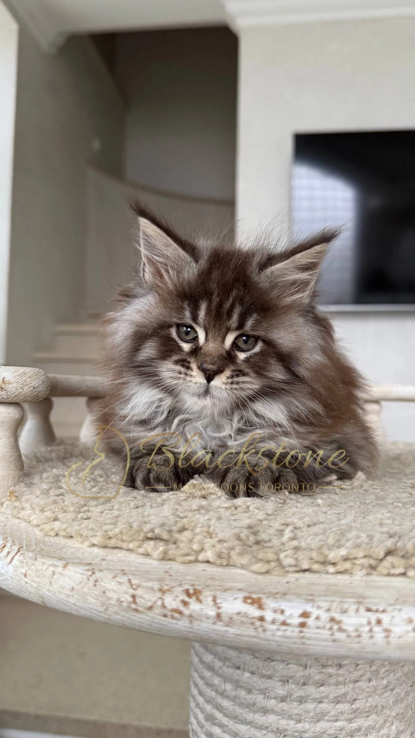 eZy Watermark_05-04-2026_02-33-08-0210PM.JPG