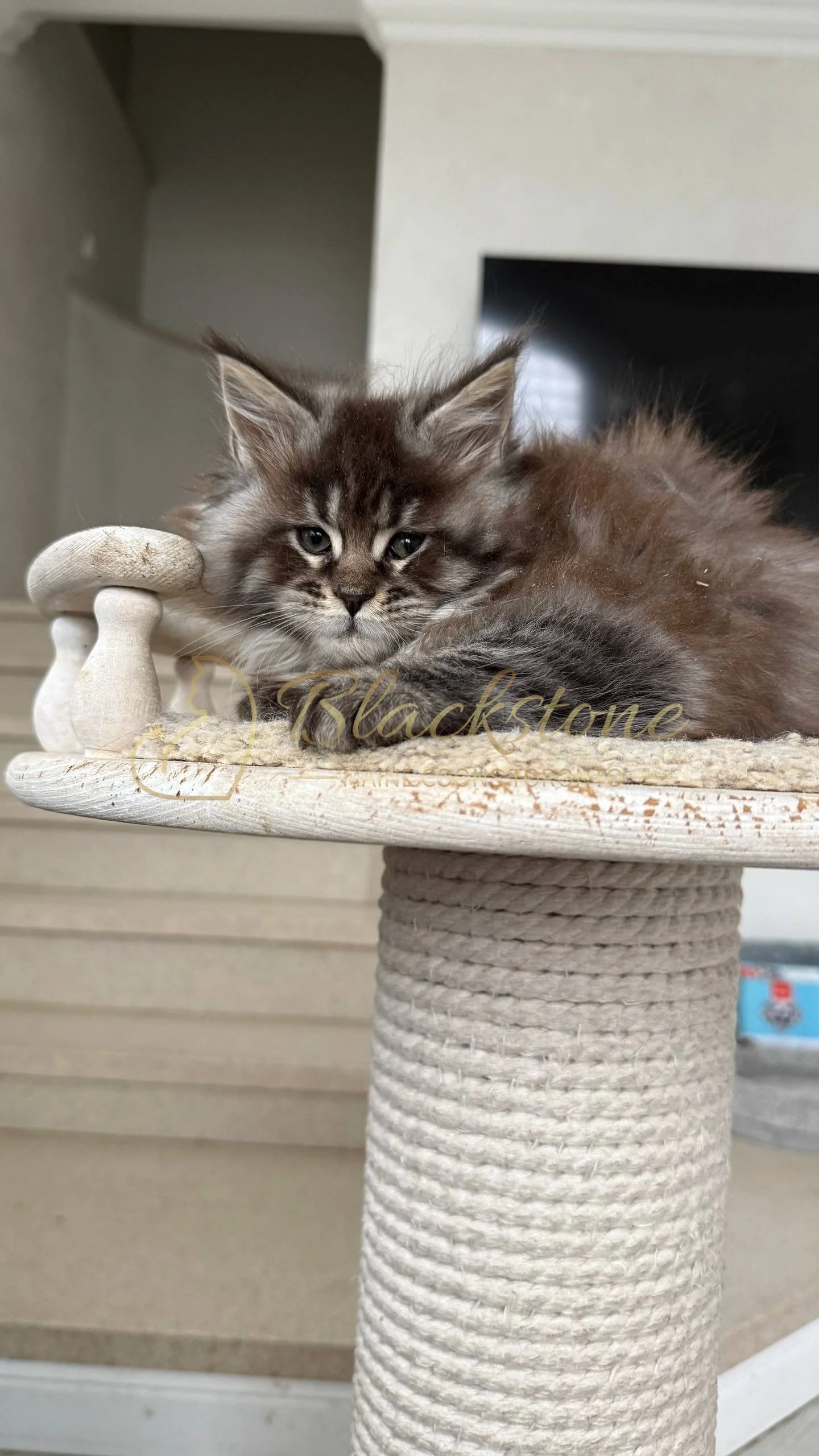 eZy Watermark_05-04-2026_02-33-08-1350PM.JPG