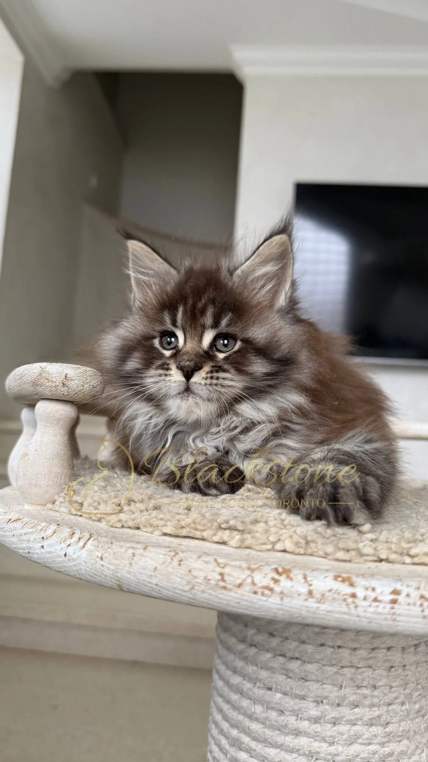 eZy Watermark_05-04-2026_02-33-08-4000PM.JPG