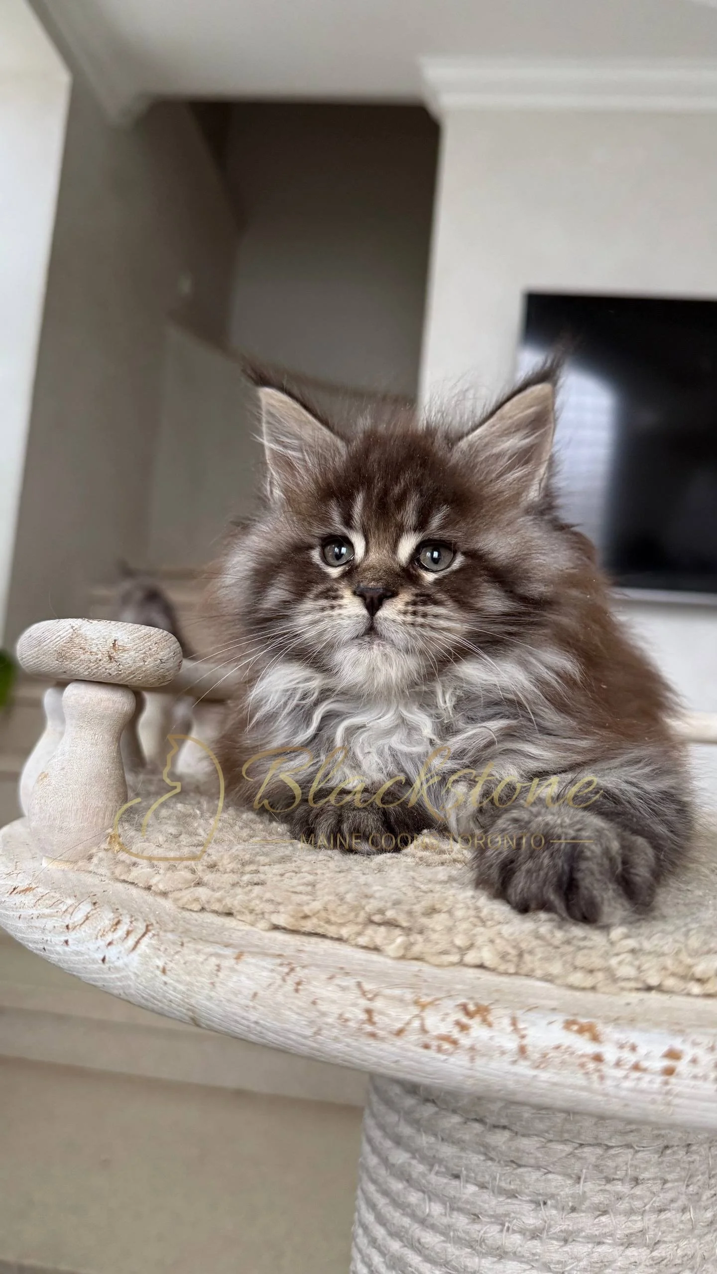 eZy Watermark_05-04-2026_02-33-08-4990PM.JPG