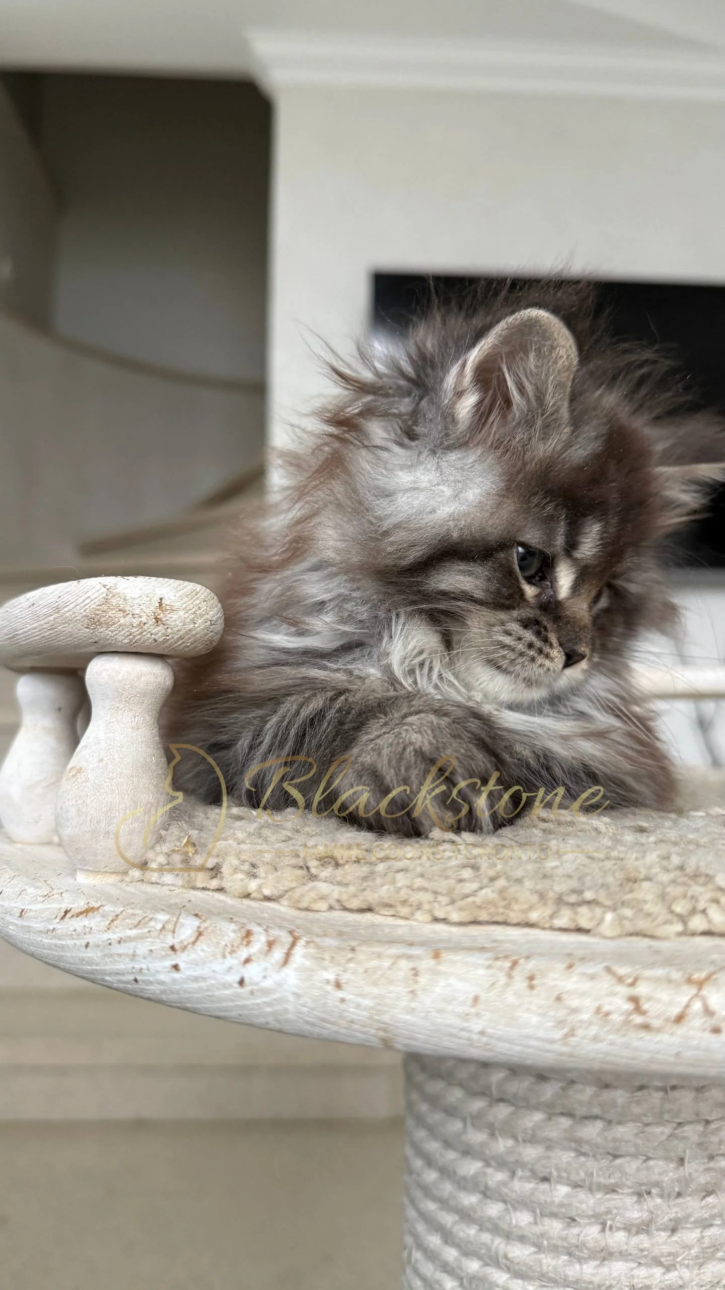 eZy Watermark_05-04-2026_02-33-08-6710PM.JPG