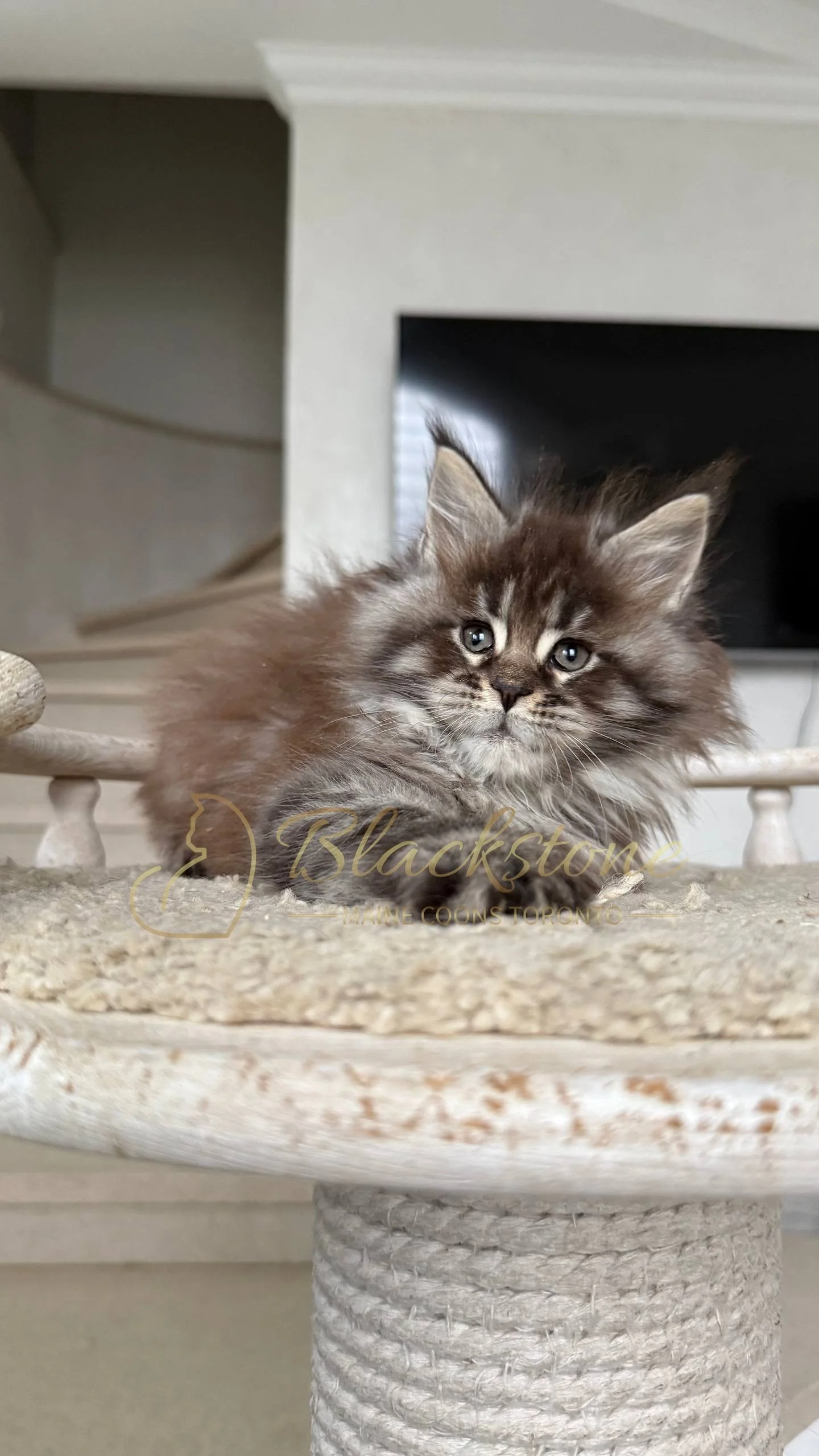 eZy Watermark_05-04-2026_02-33-08-7510PM.JPG