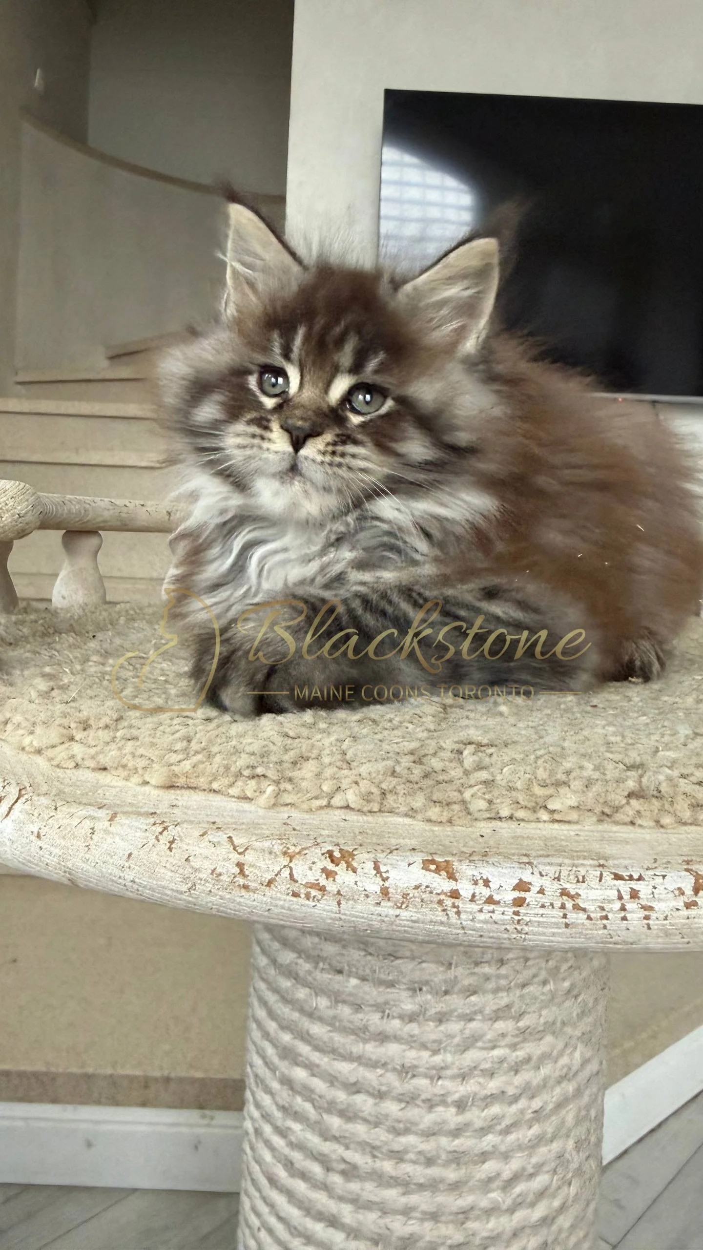 eZy Watermark_05-04-2026_02-33-08-8330PM.JPG