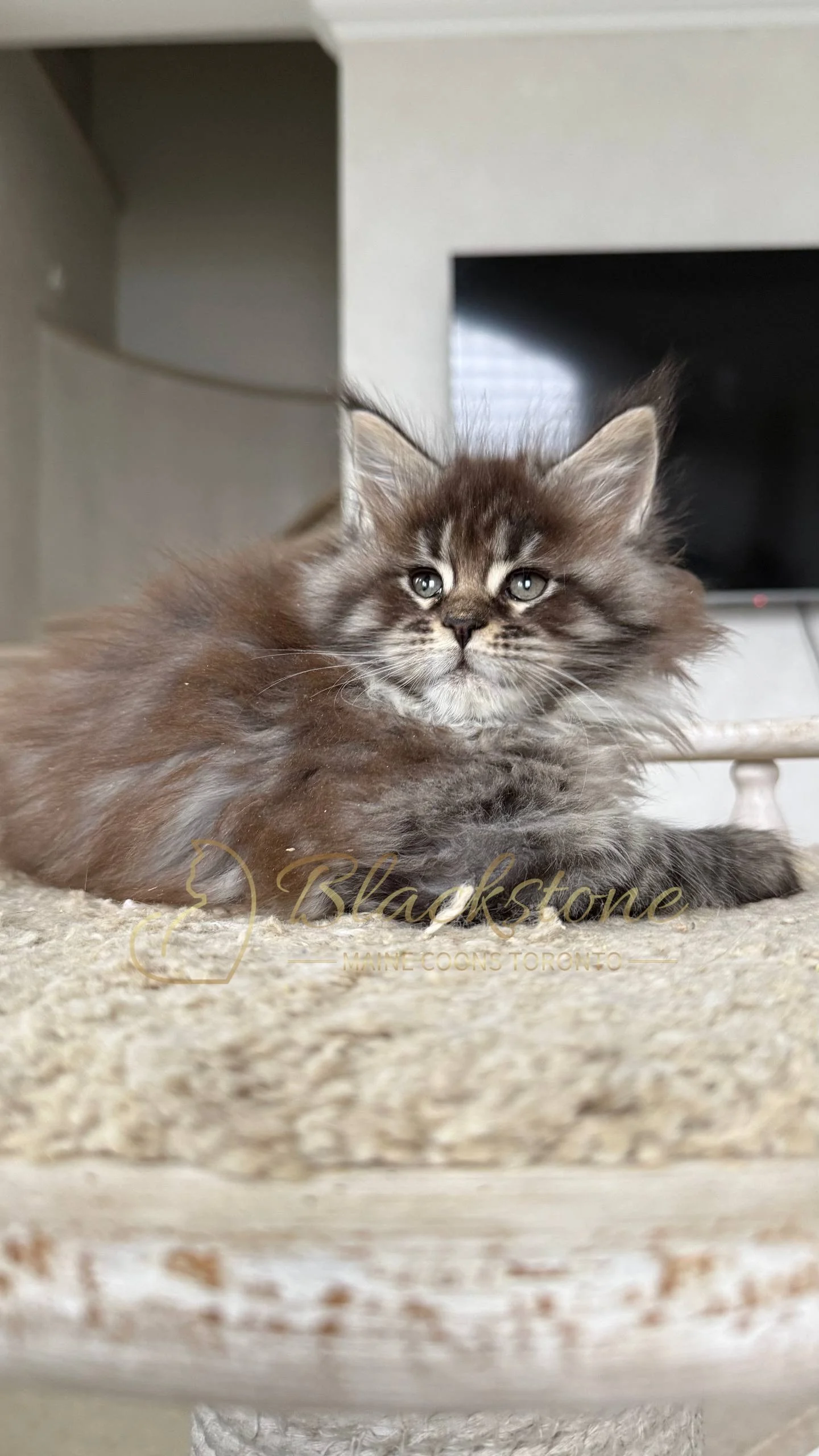 eZy Watermark_05-04-2026_02-33-09-0190PM.JPG