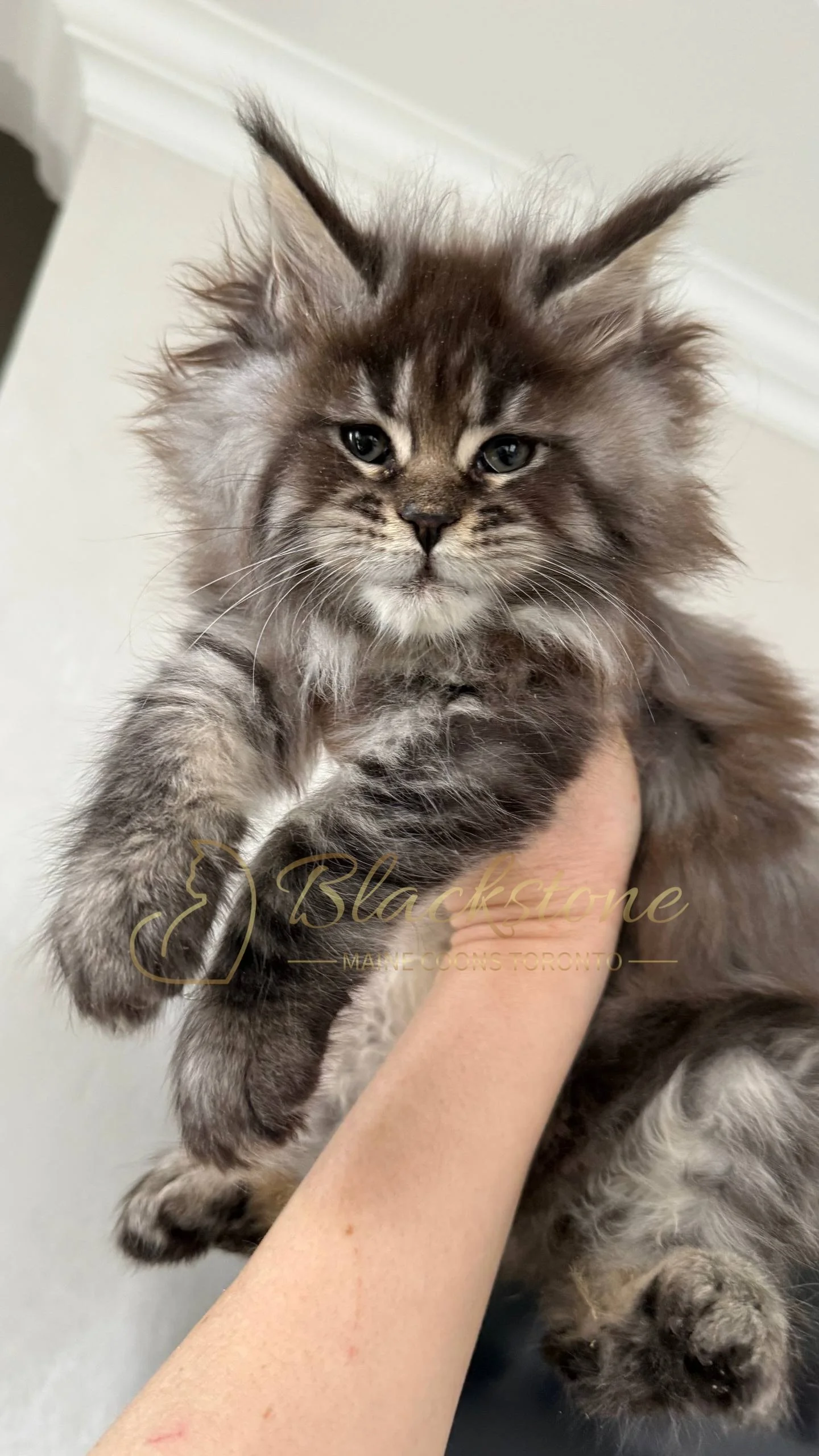 eZy Watermark_05-04-2026_02-33-09-1080PM.JPG