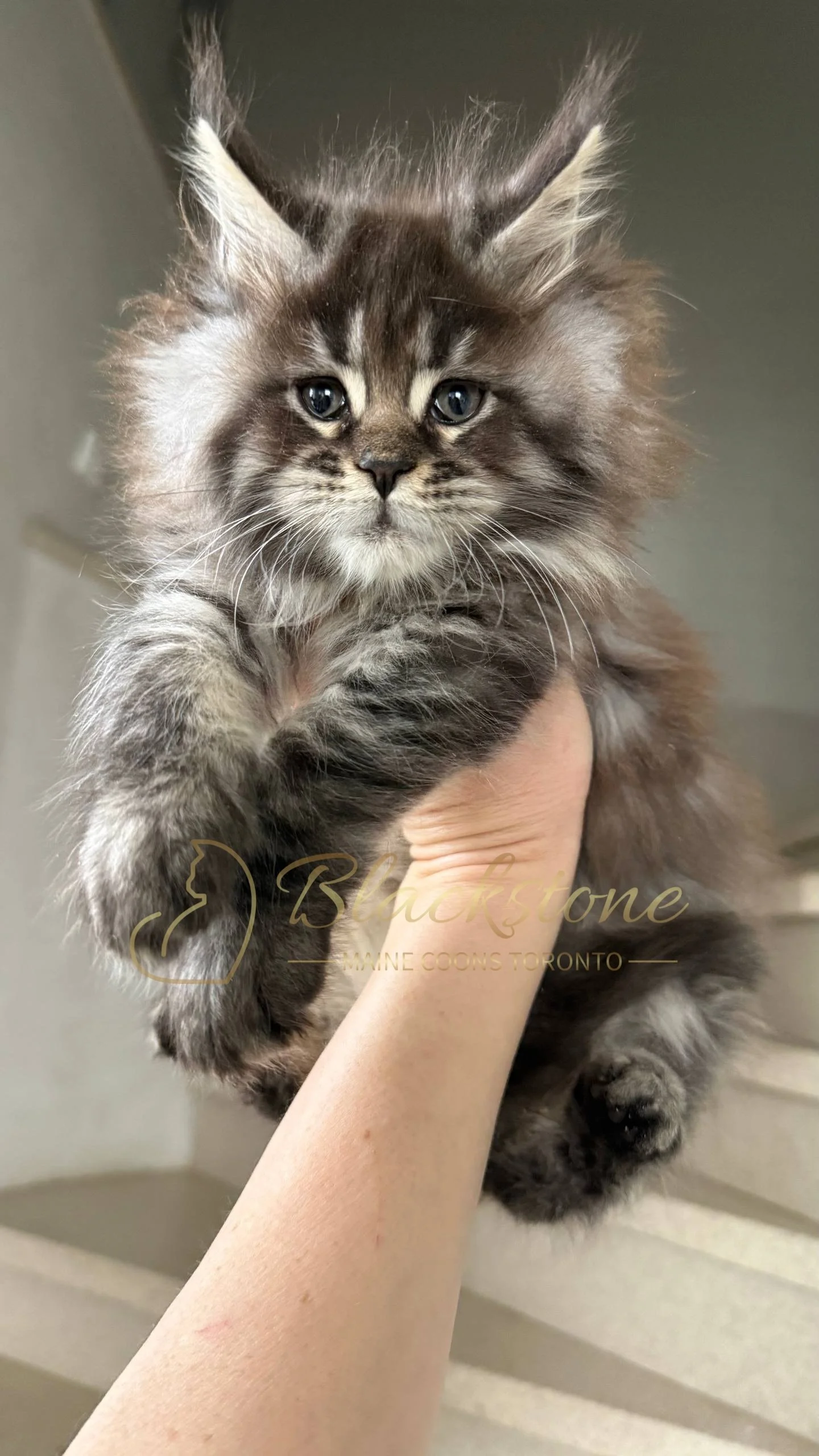 eZy Watermark_05-04-2026_02-33-09-1940PM.JPG