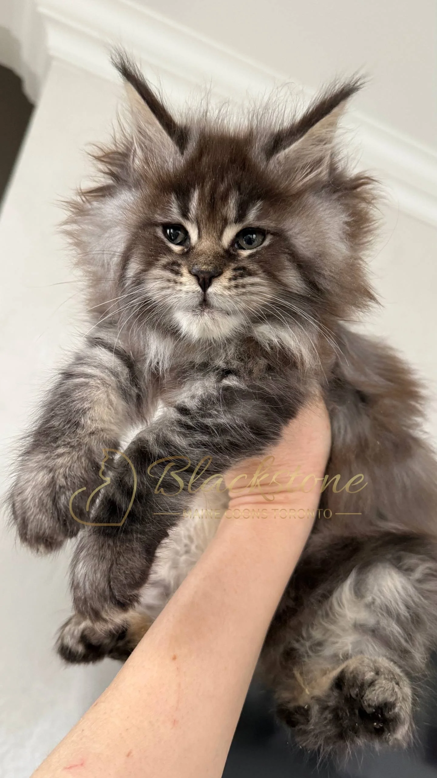 eZy Watermark_05-04-2026_02-33-09-2930PM.JPG