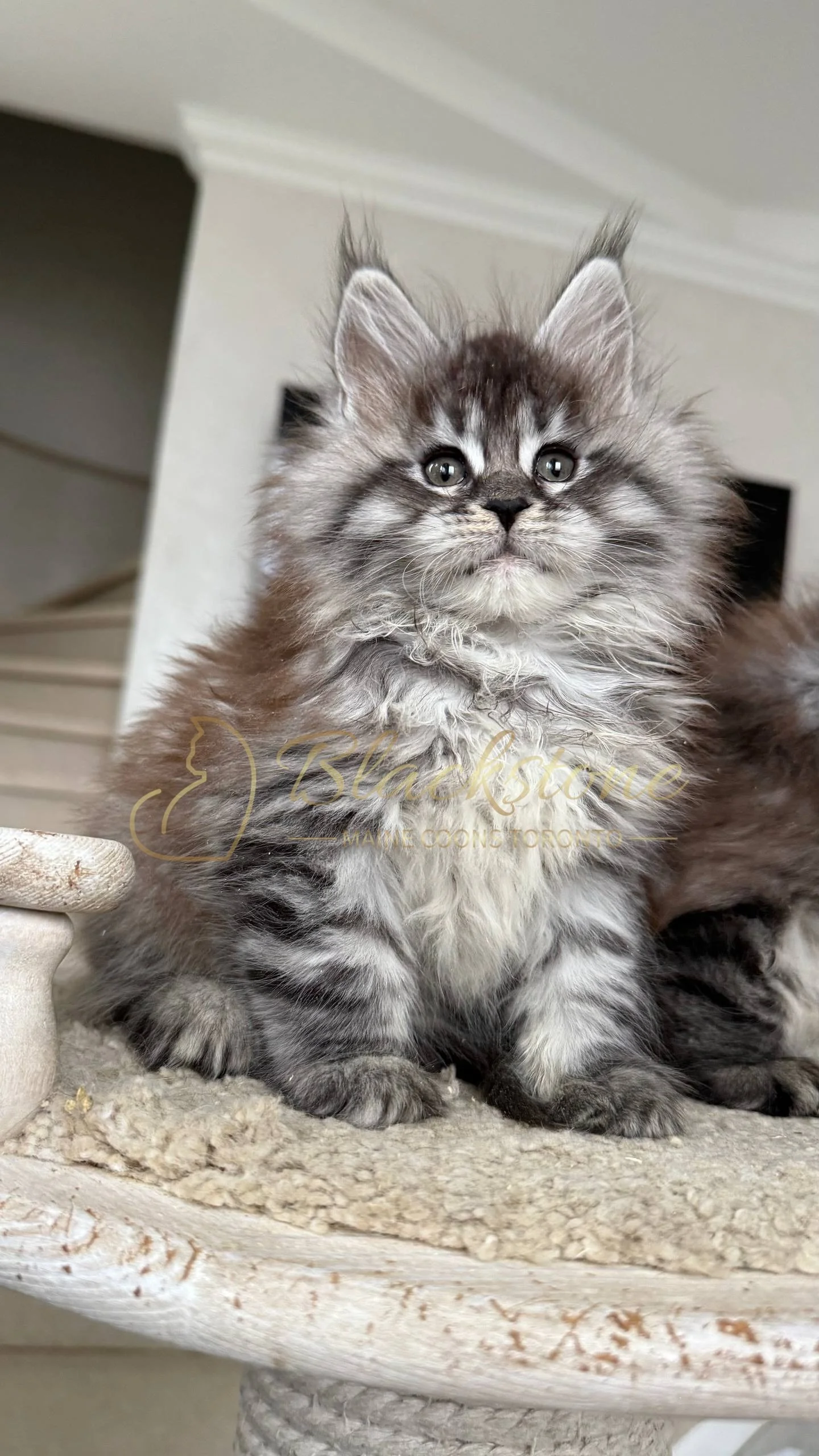 eZy Watermark_05-04-2026_02-54-11-3830PM.JPG