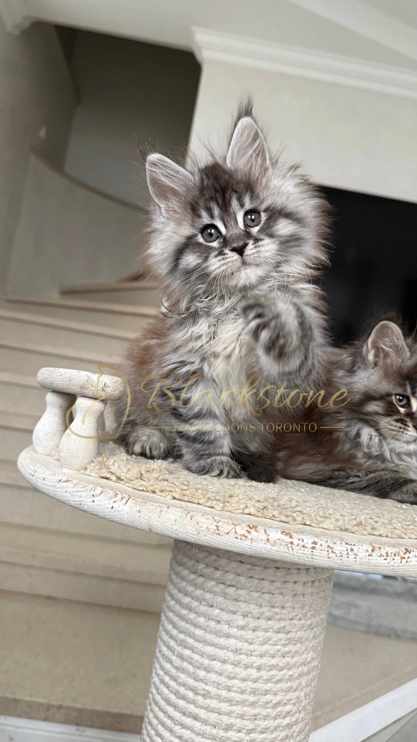 eZy Watermark_05-04-2026_02-54-11-4680PM.JPG