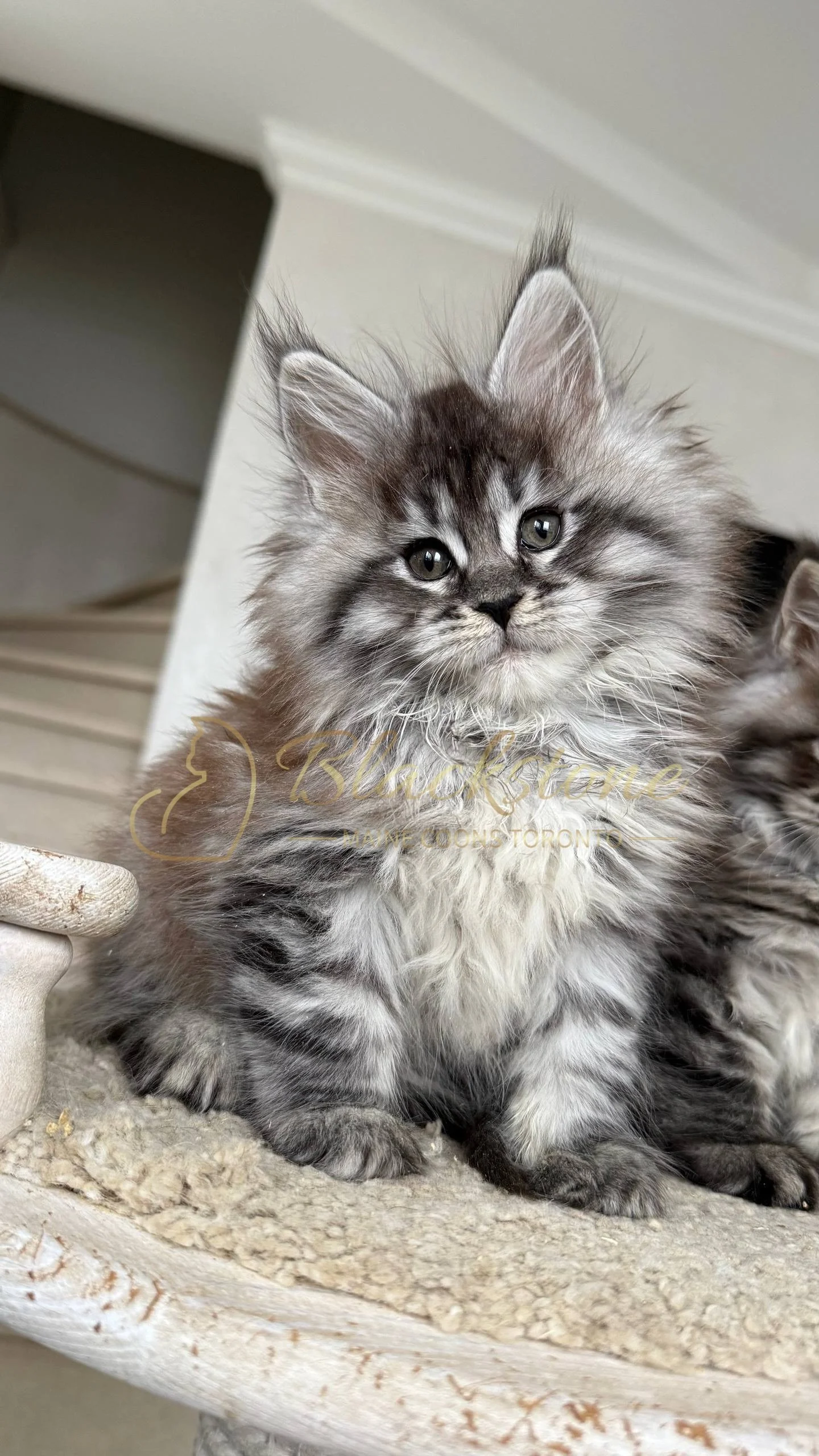 eZy Watermark_05-04-2026_02-54-11-5510PM.JPG