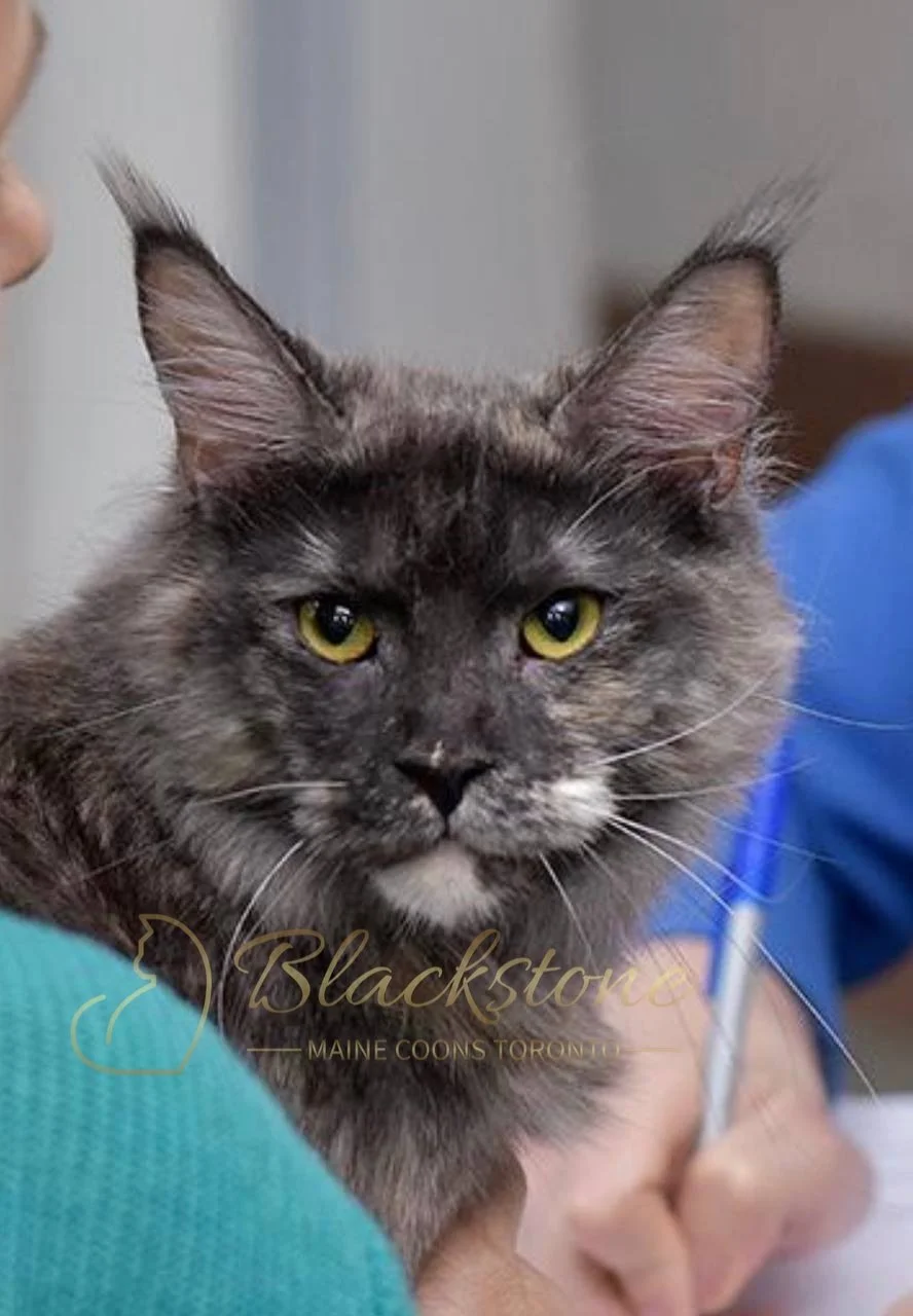 eZy Watermark_05-04-2026_03-06-34-8040PM.JPG