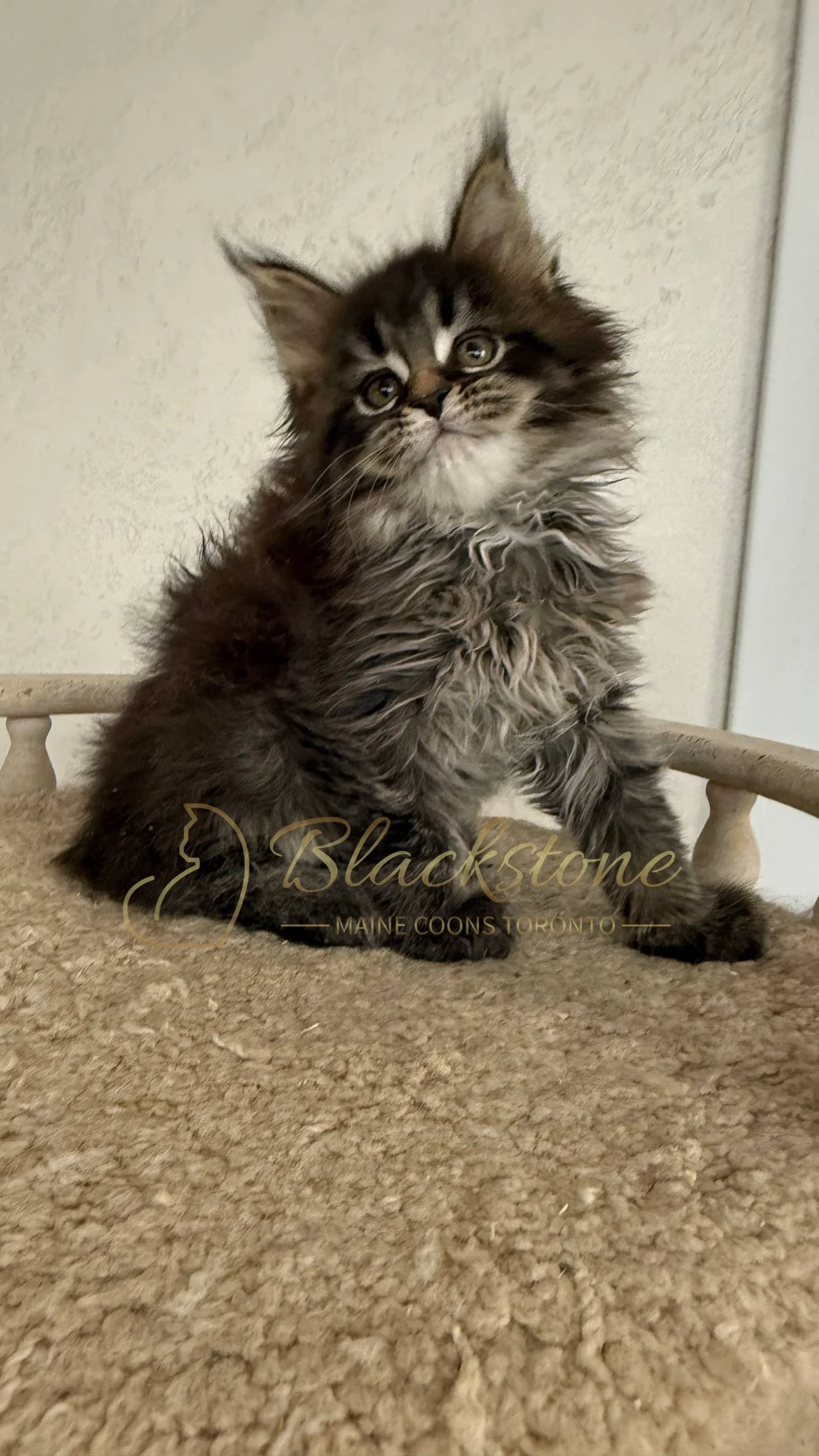 eZy Watermark_05-04-2026_03-25-25-3620PM.JPG