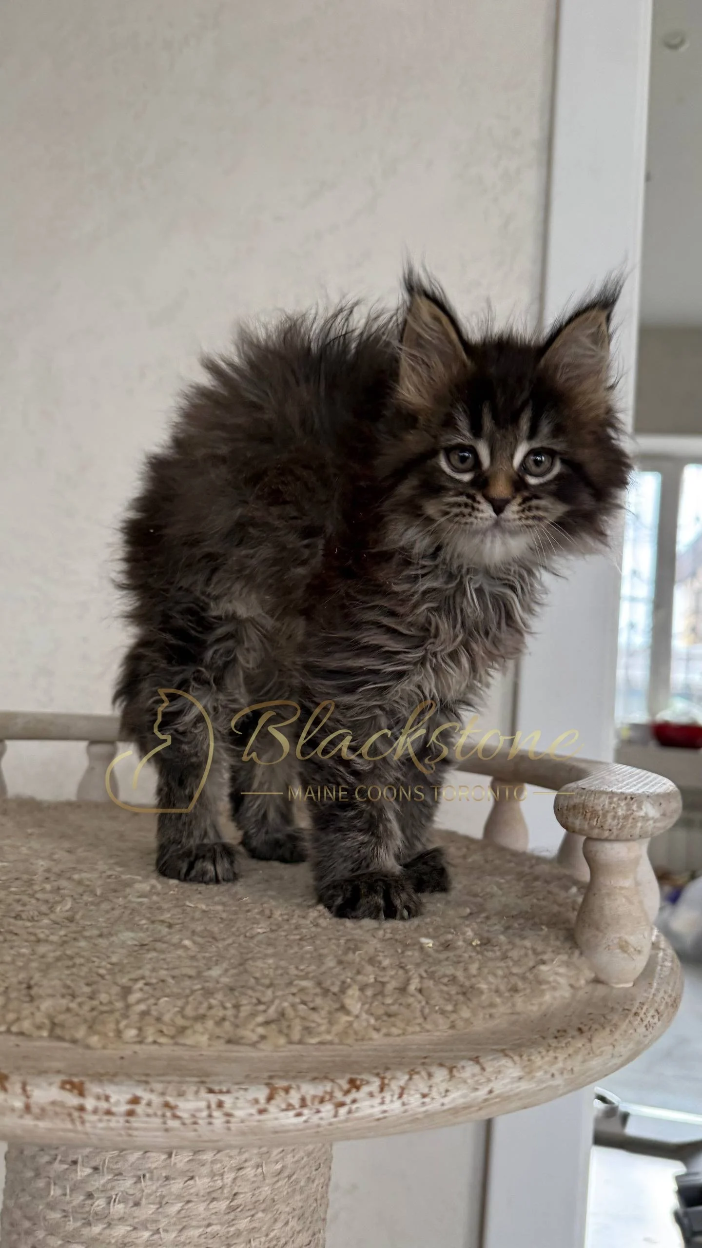 eZy Watermark_05-04-2026_03-25-25-4450PM.JPG