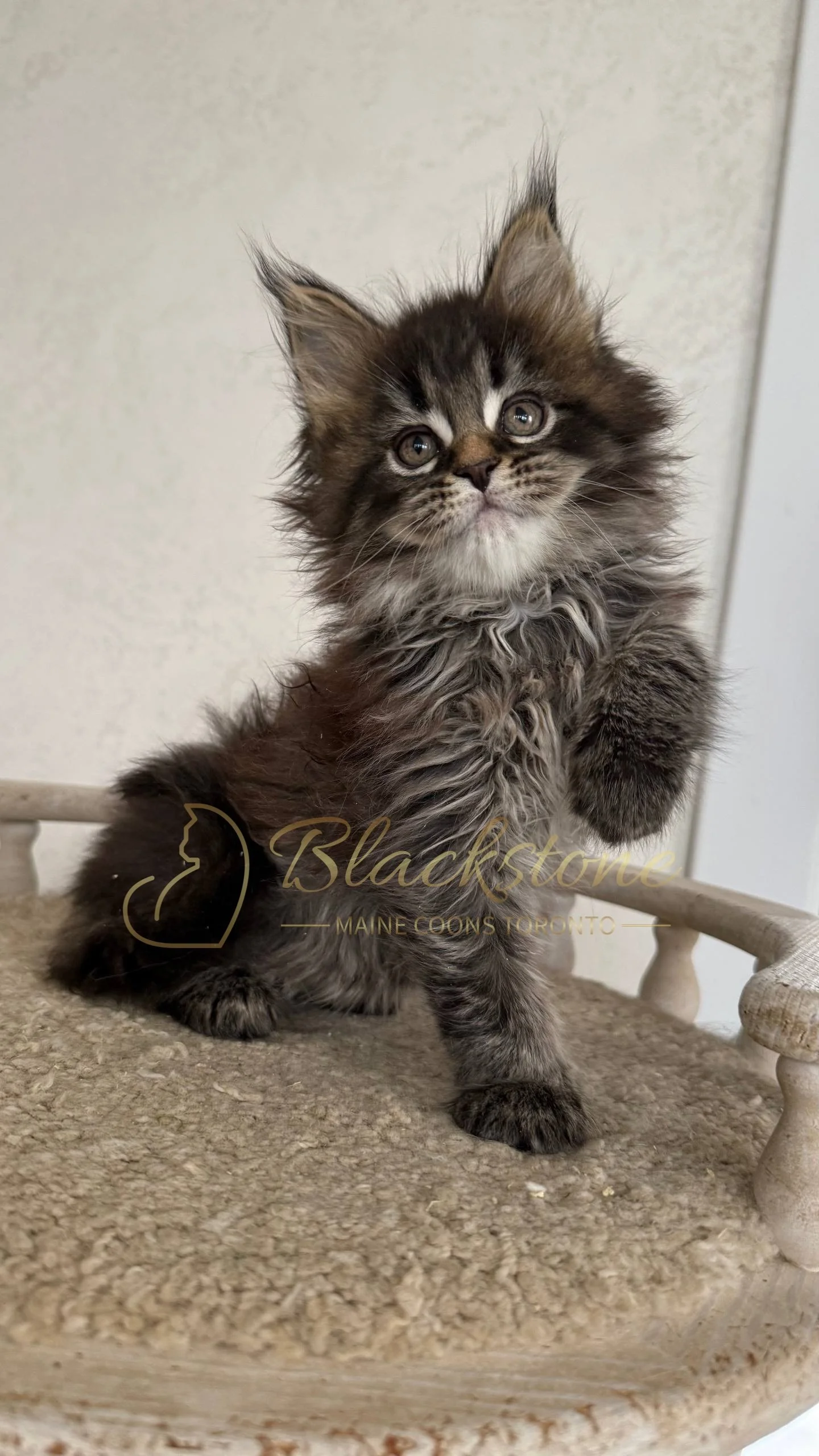 eZy Watermark_05-04-2026_03-25-25-6400PM.JPG