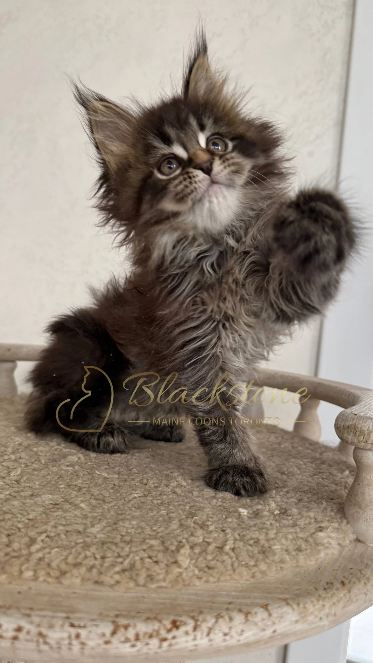 eZy Watermark_05-04-2026_03-25-25-7220PM.JPG